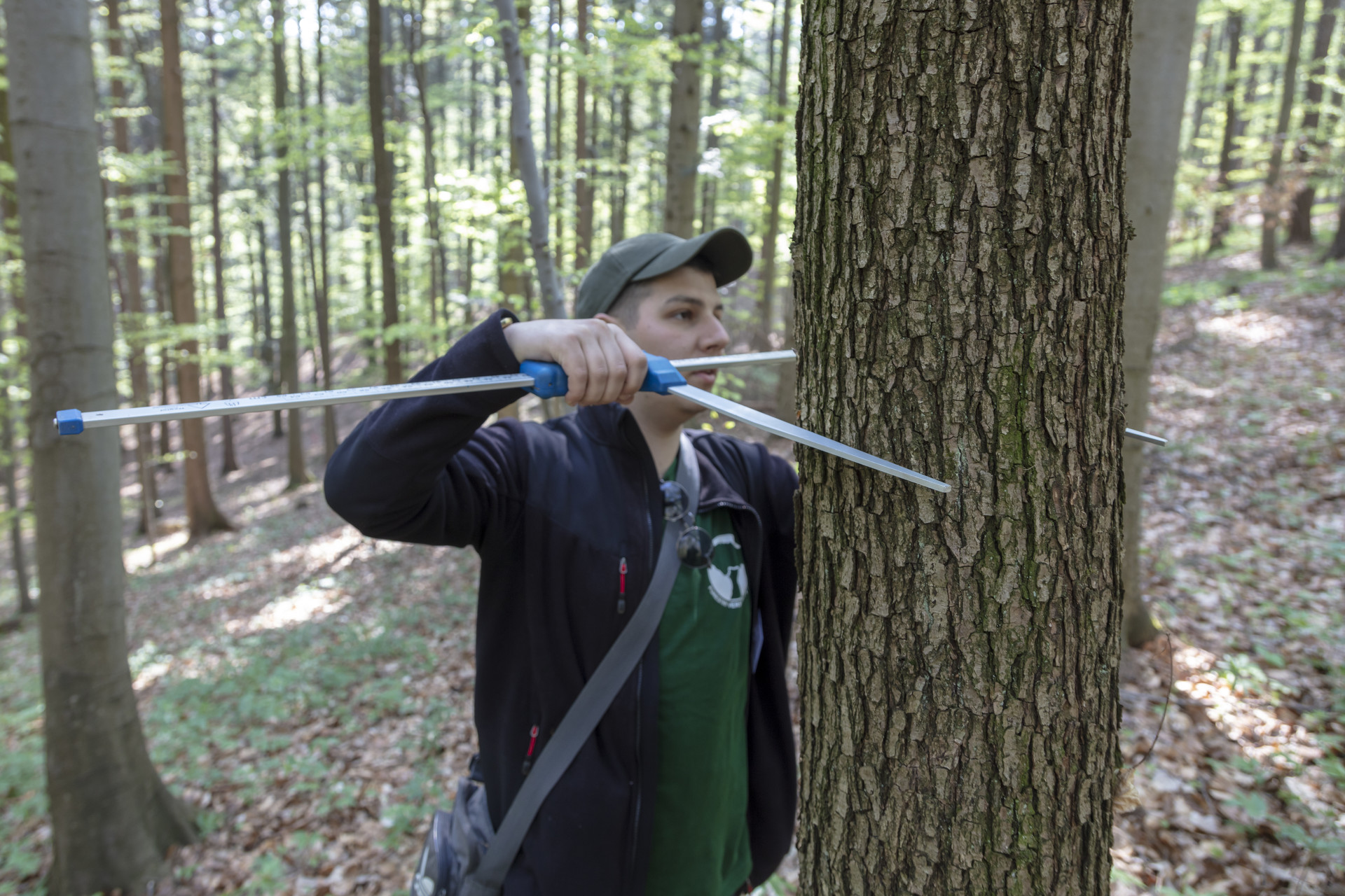 Mendelova univerzita v Brně - Lesnická a dřevařská fakulta foto 6