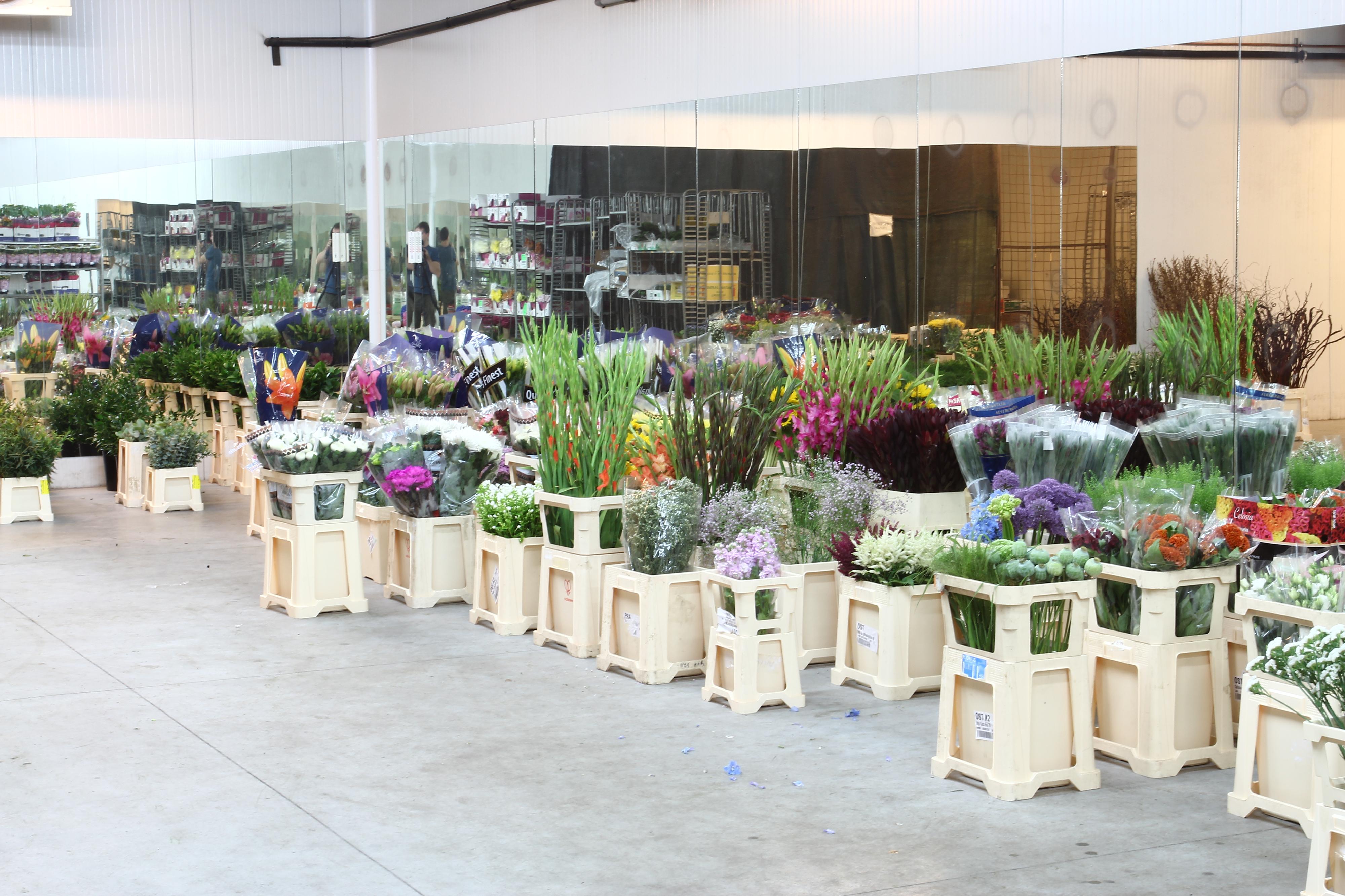 FLORPLANT, s.r.o. foto 3