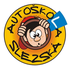 logo Autoškola Slezská