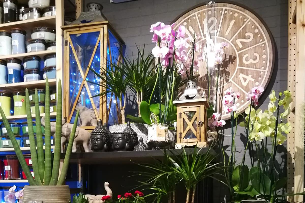 Café & Love Veronica