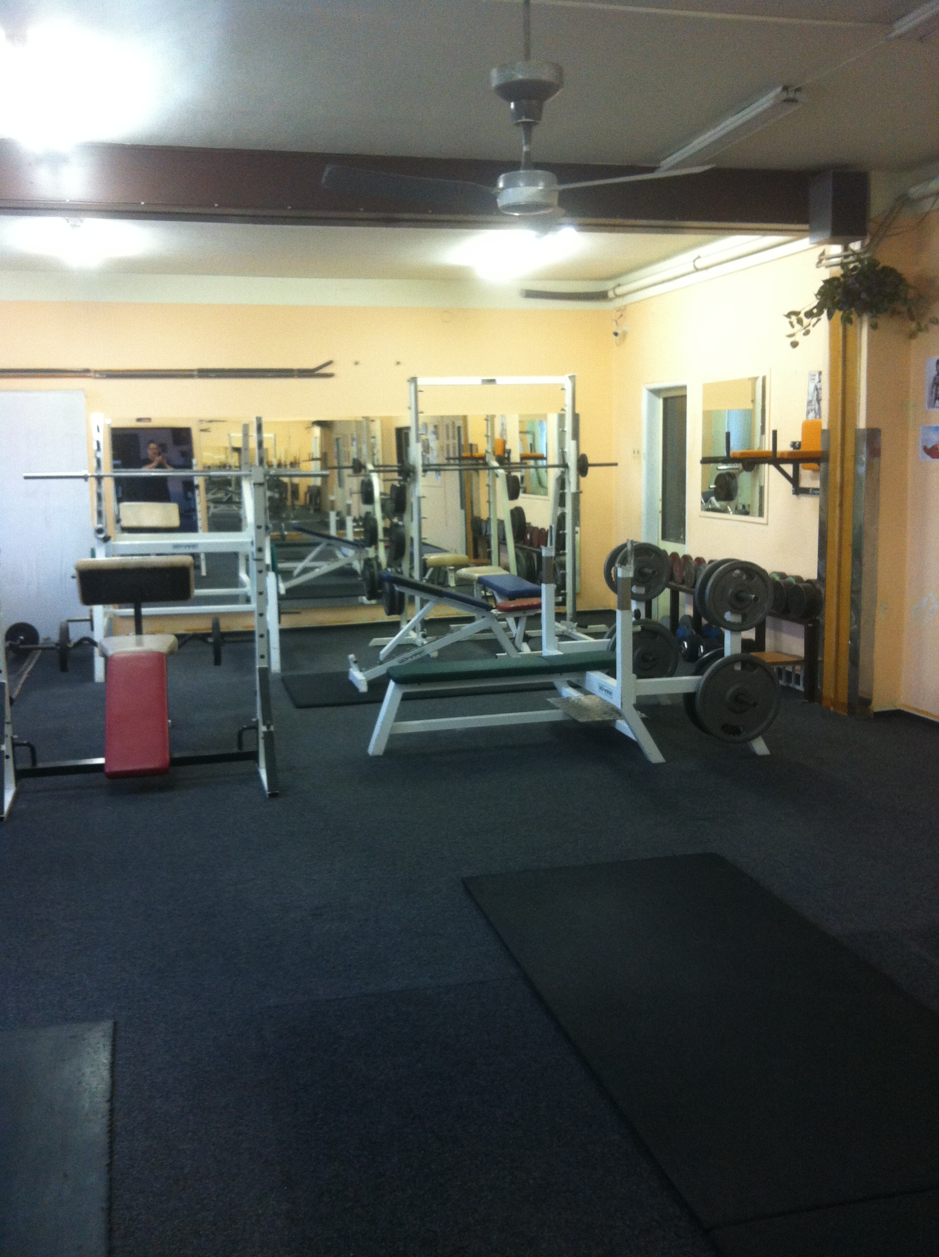 Balené palivové dřevo foto 3