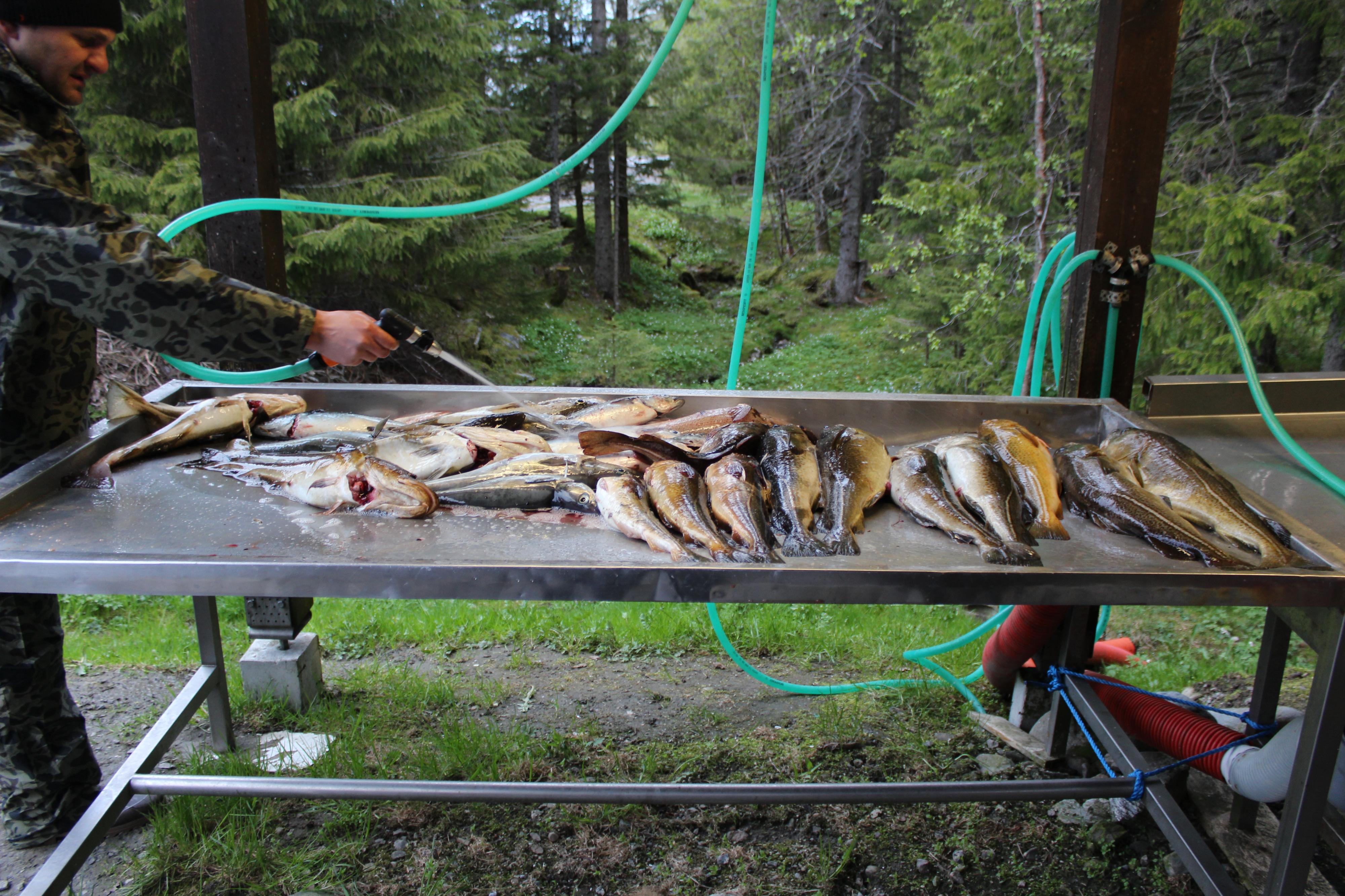 FLY TACKLE, s.r.o. foto 4