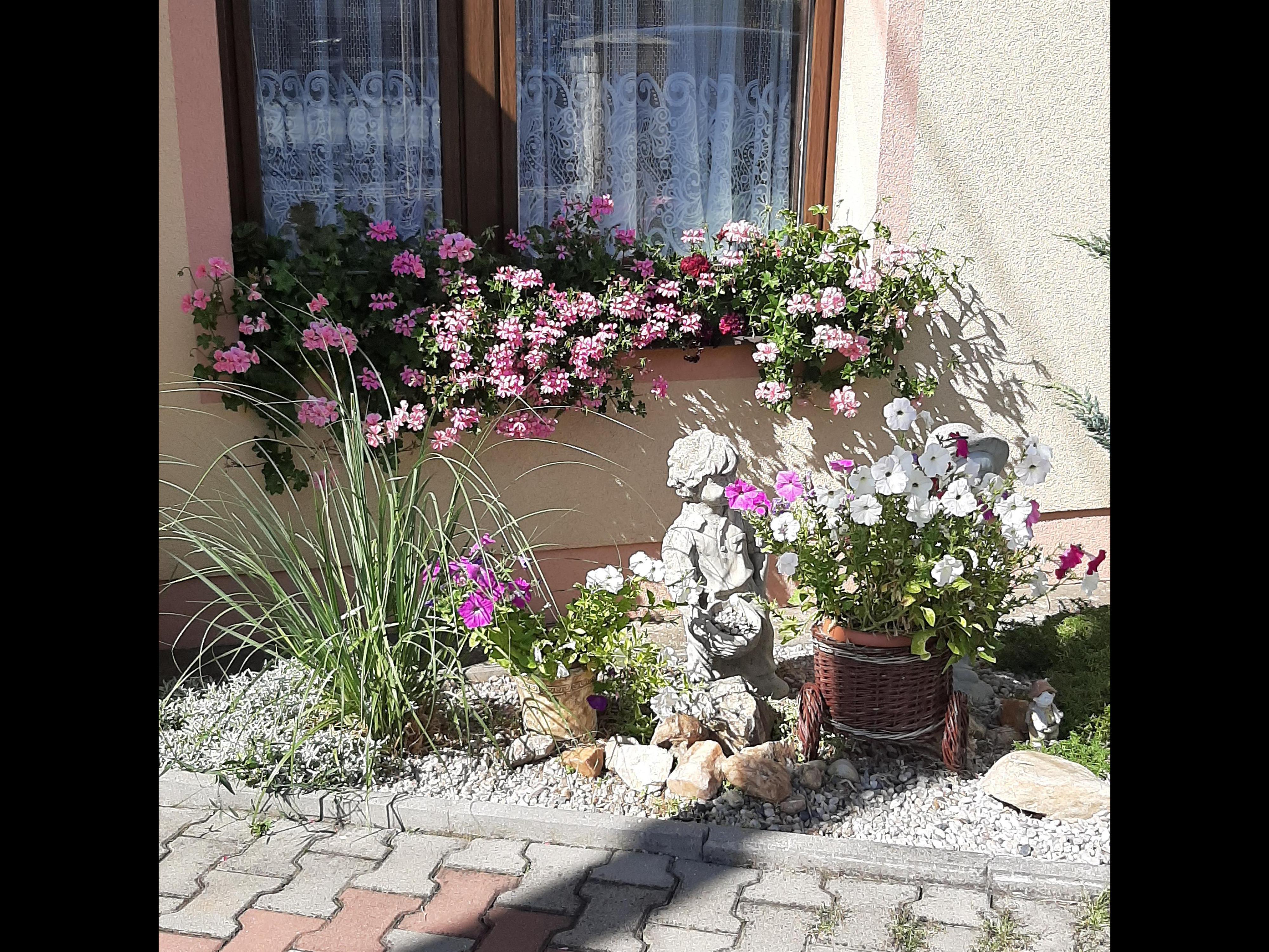 Pension Věra - Mariánské lázně foto 4