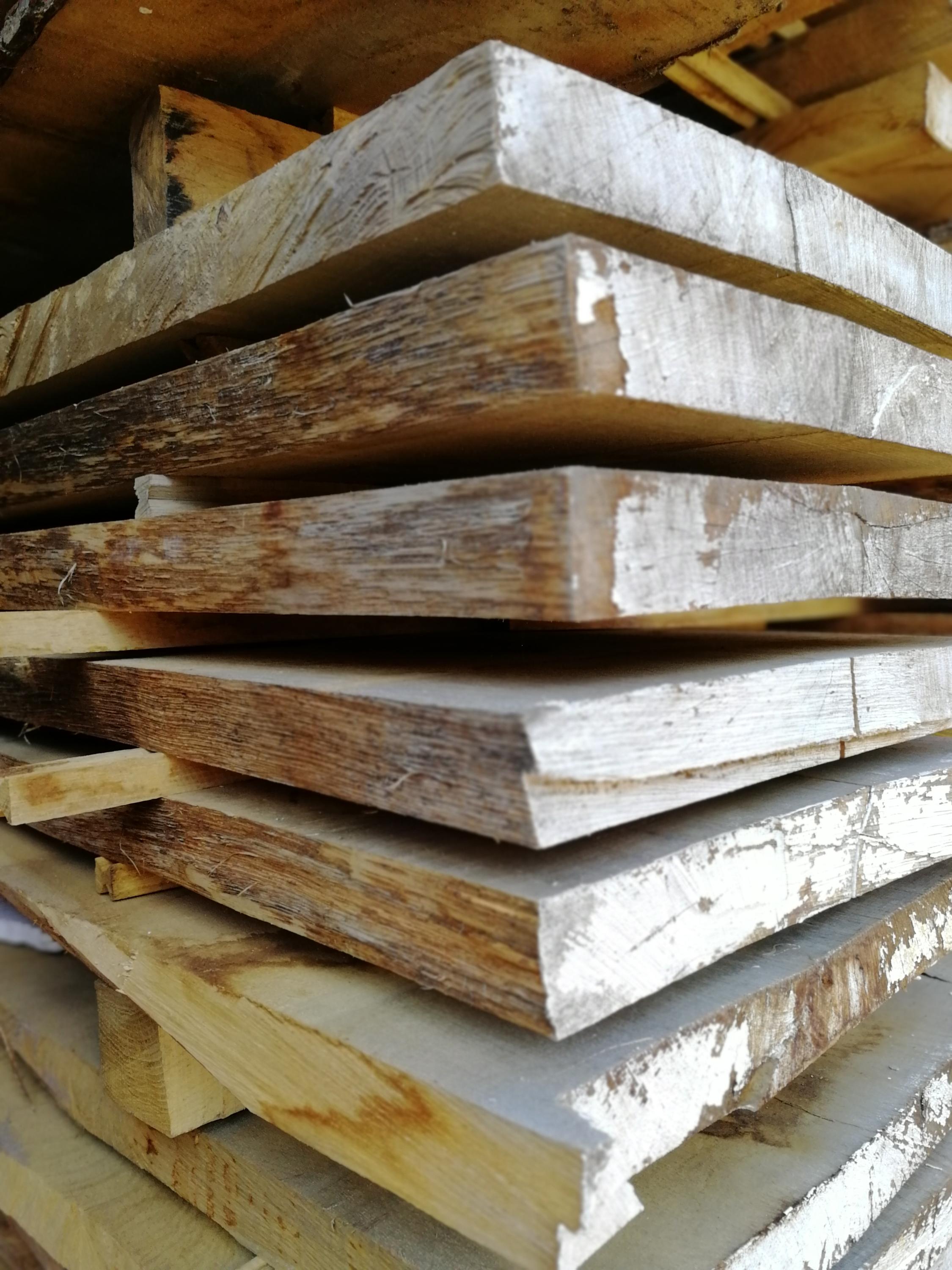 Lesy Sv. Hubert s.r.o. foto 4