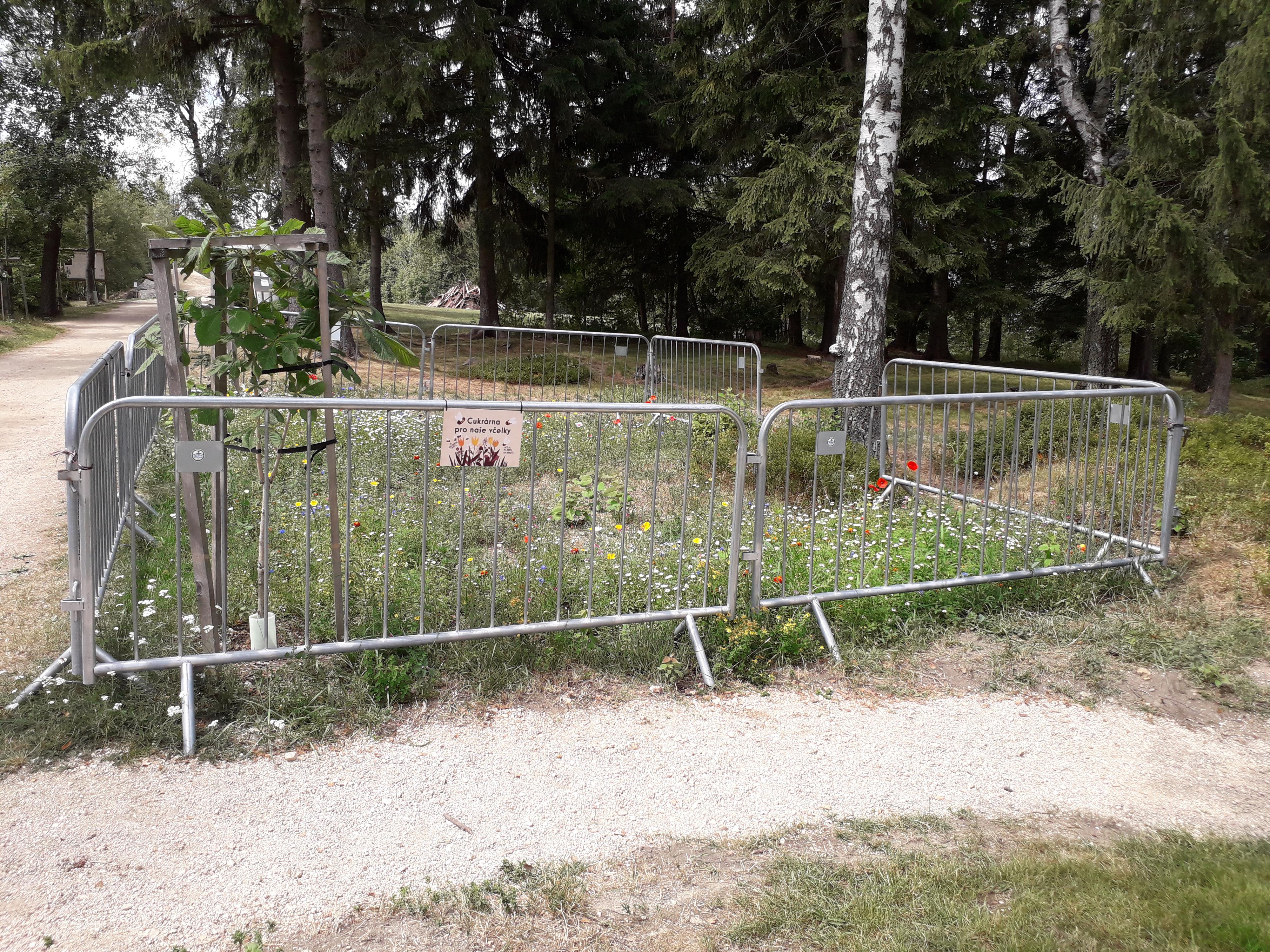 Chata Krále Miroslava foto 6