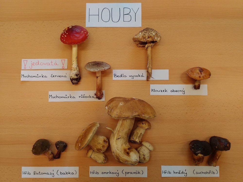 Dětská skupina Štístko foto 3