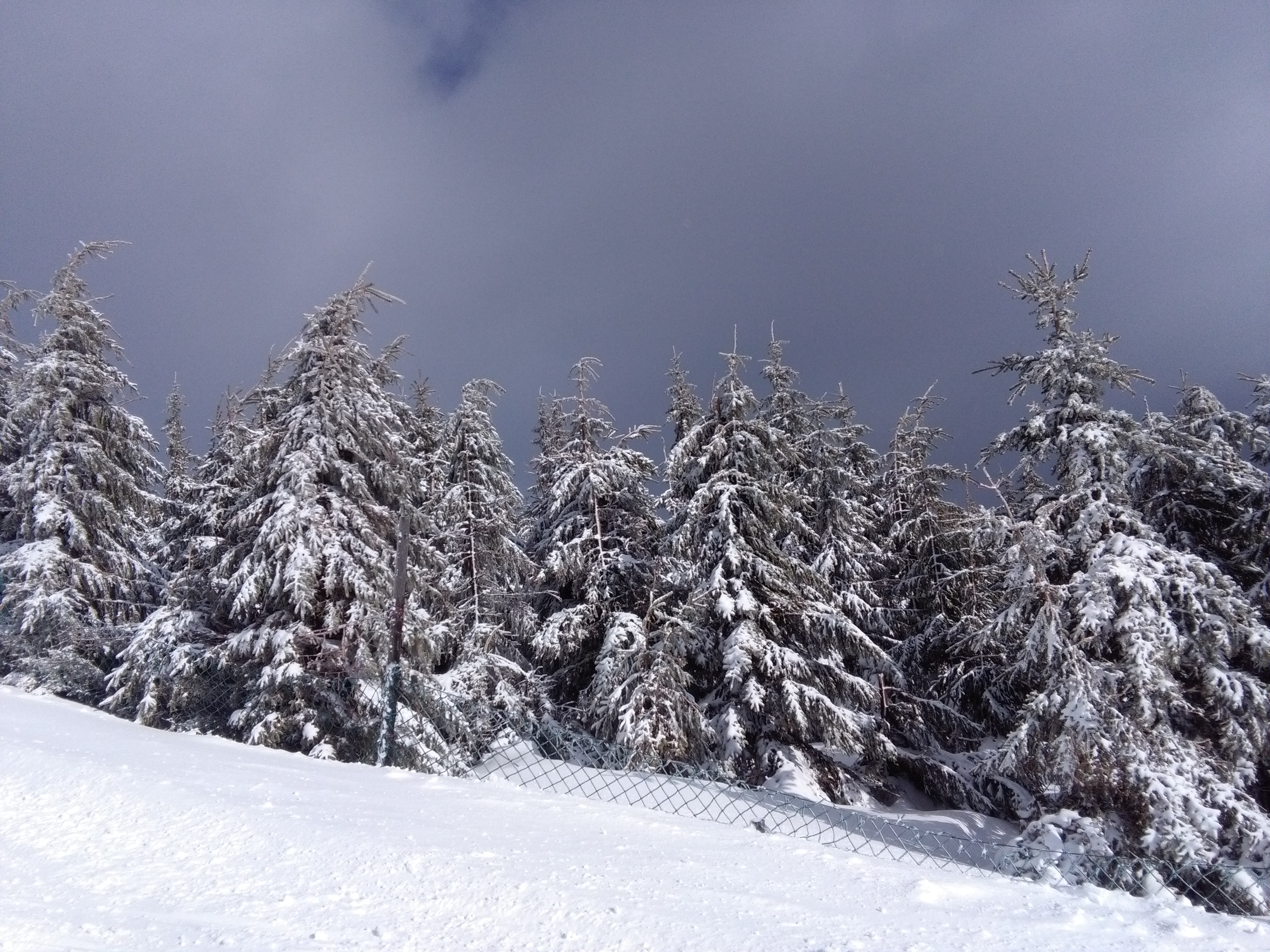 Restaurace SKiMU House foto 4