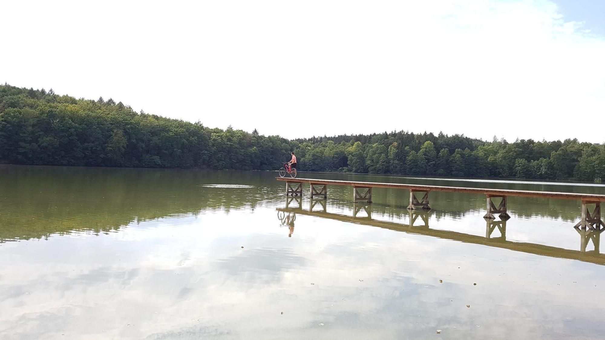 Koupaliště Vyžlovka foto 3