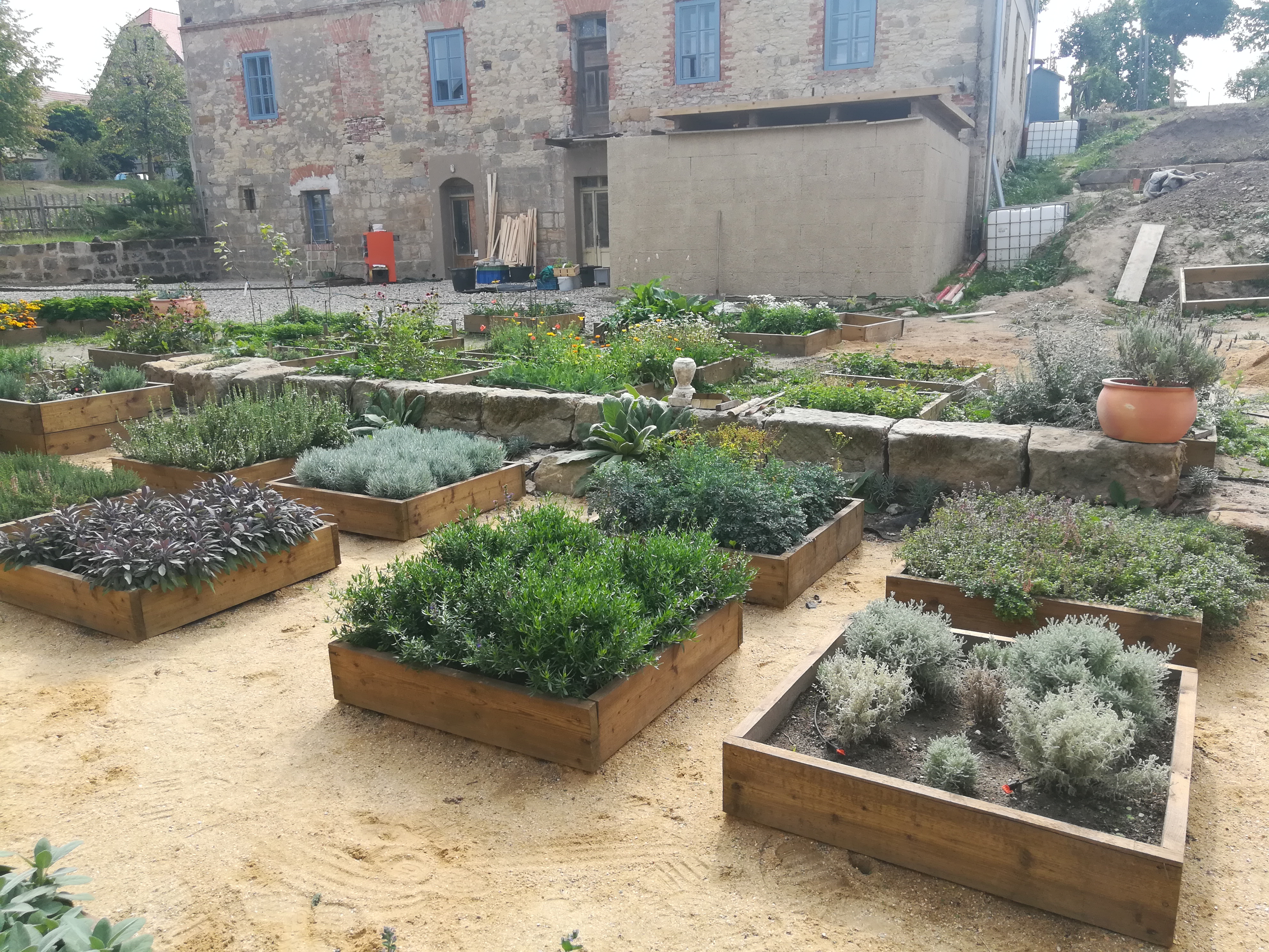 Bylinková zahrada Levandule