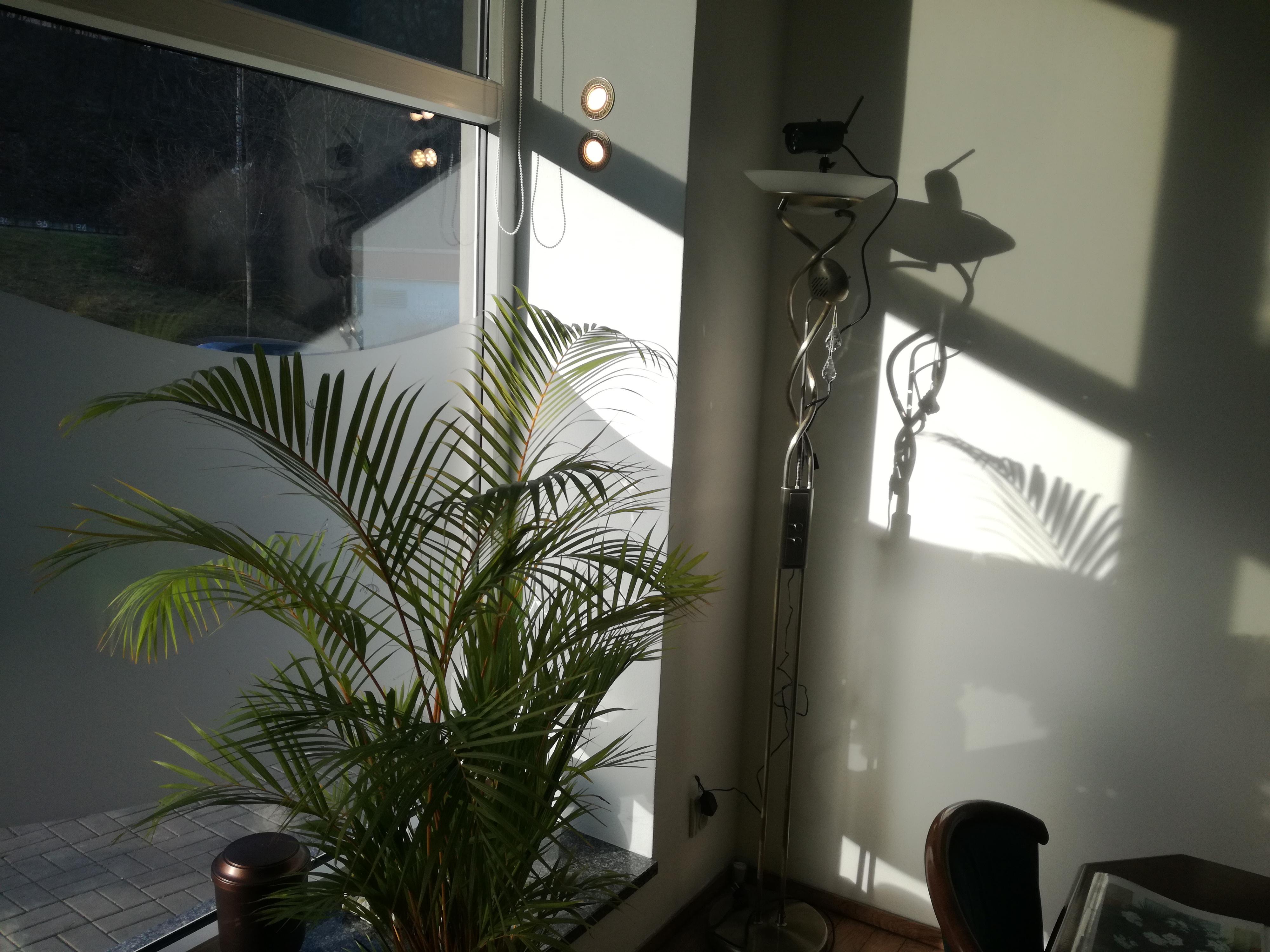 Pohřební služba Hana Žížalová foto 4