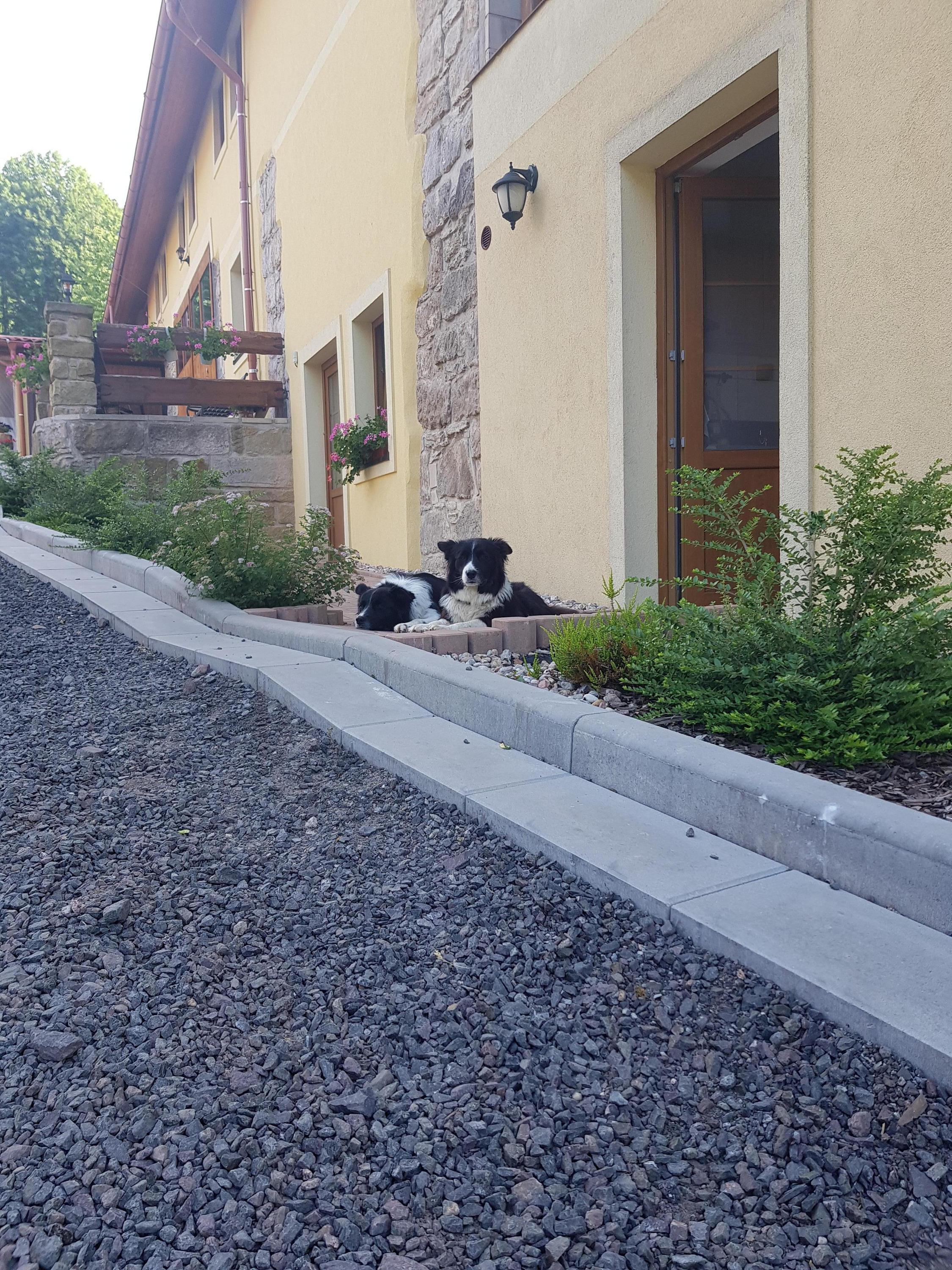 Penzion Tuček foto 5