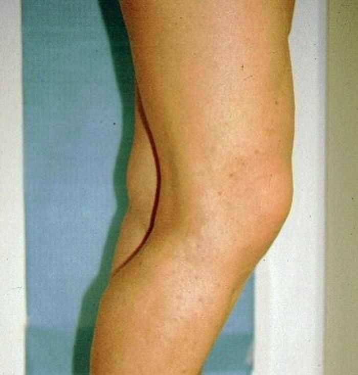 Dr. med. MUDr. Magdalena Anna Horáková foto 4