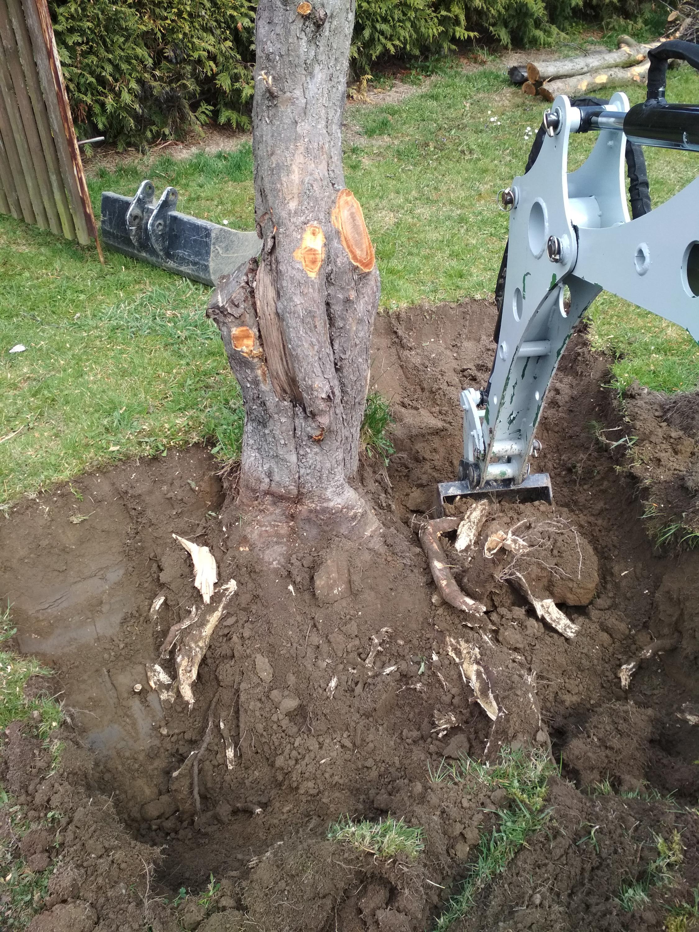 zahradnibagr.cz foto 2