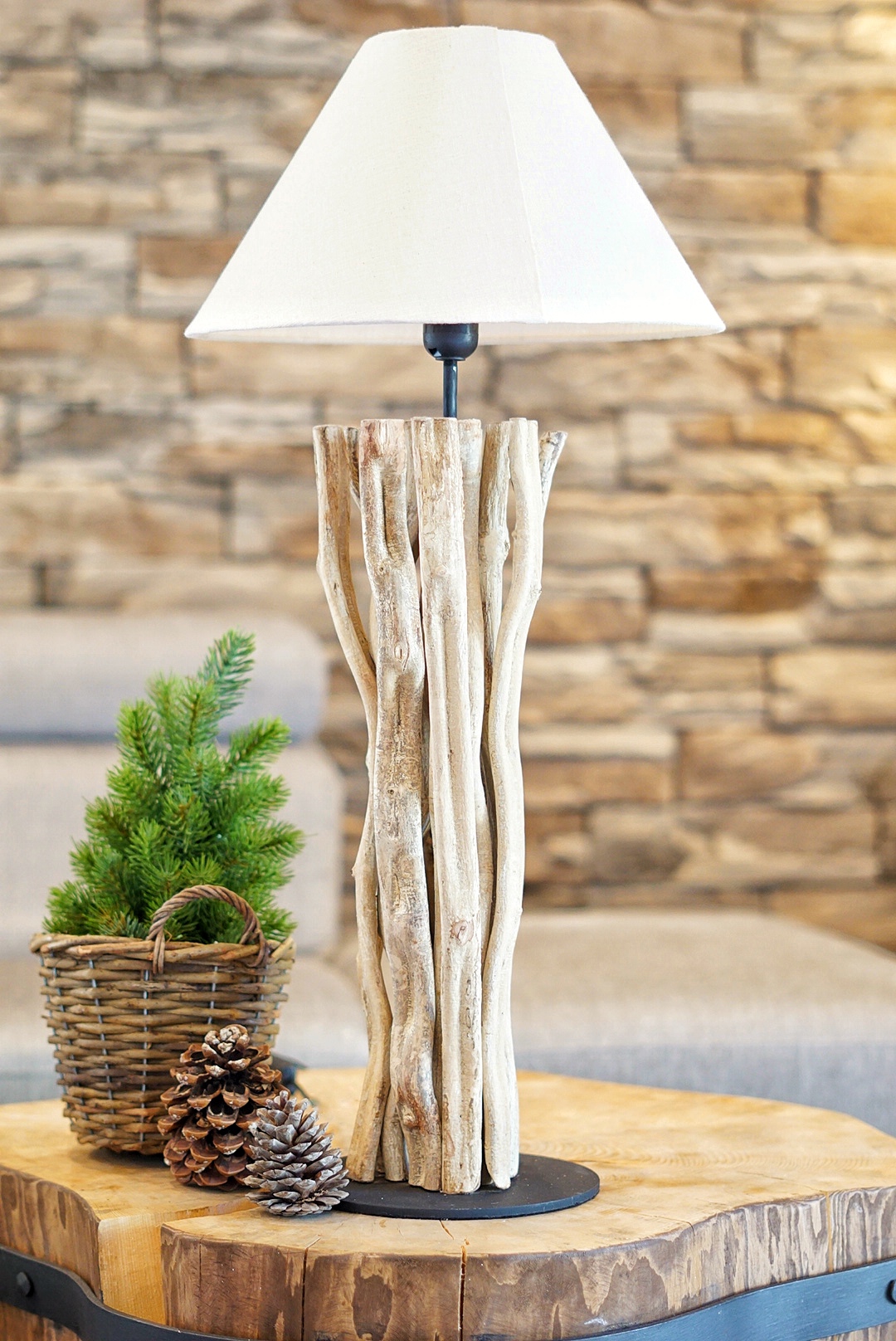 Treestudio.cz foto 3