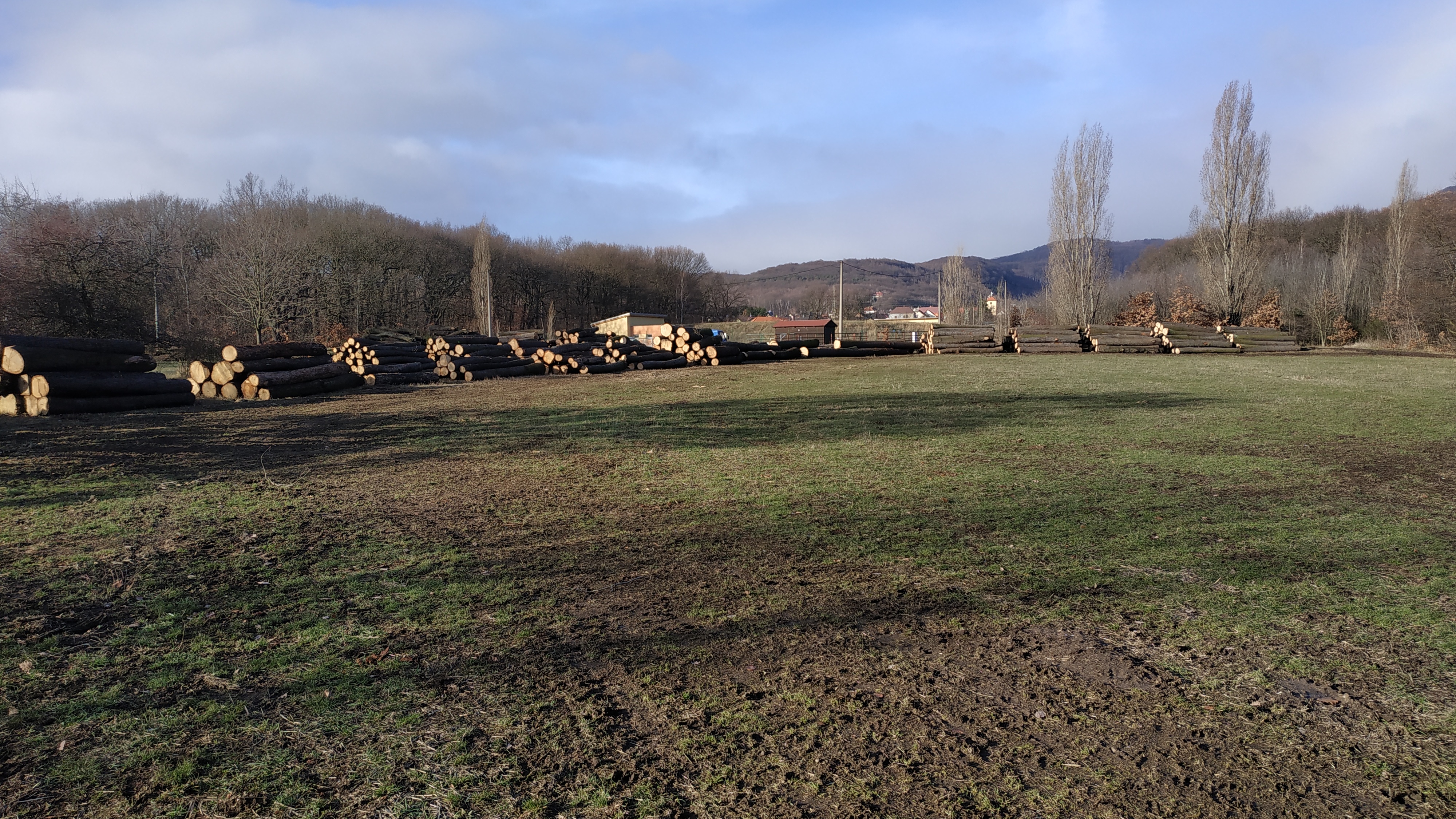 Pila-WoodHell foto 2