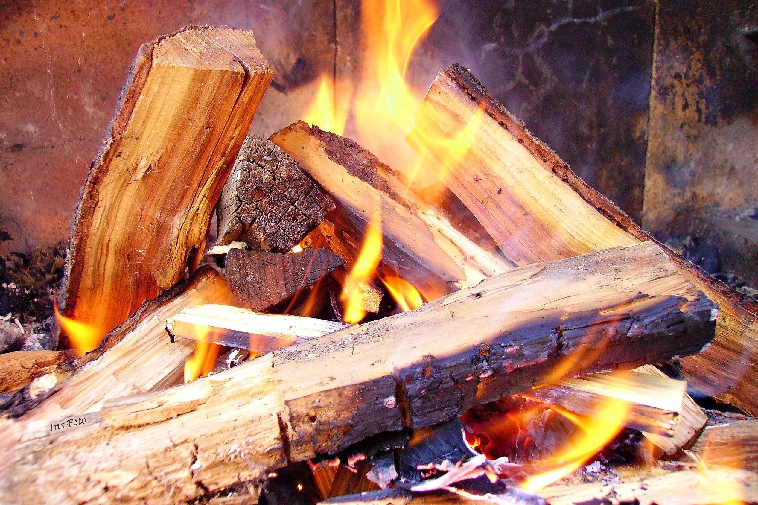 Palivové dřevo Martin Havel