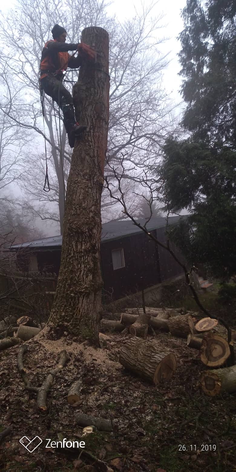 ArboPňaček foto 2