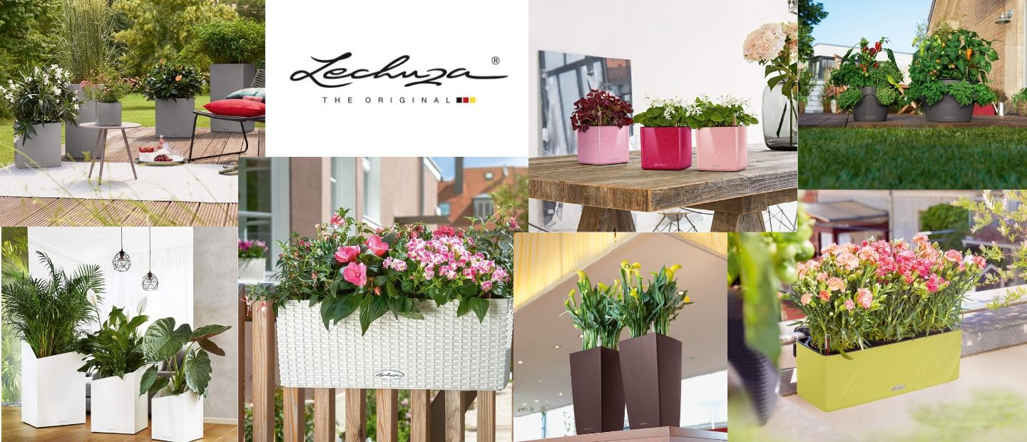 Bousekzahrady-eshop.cz foto 4