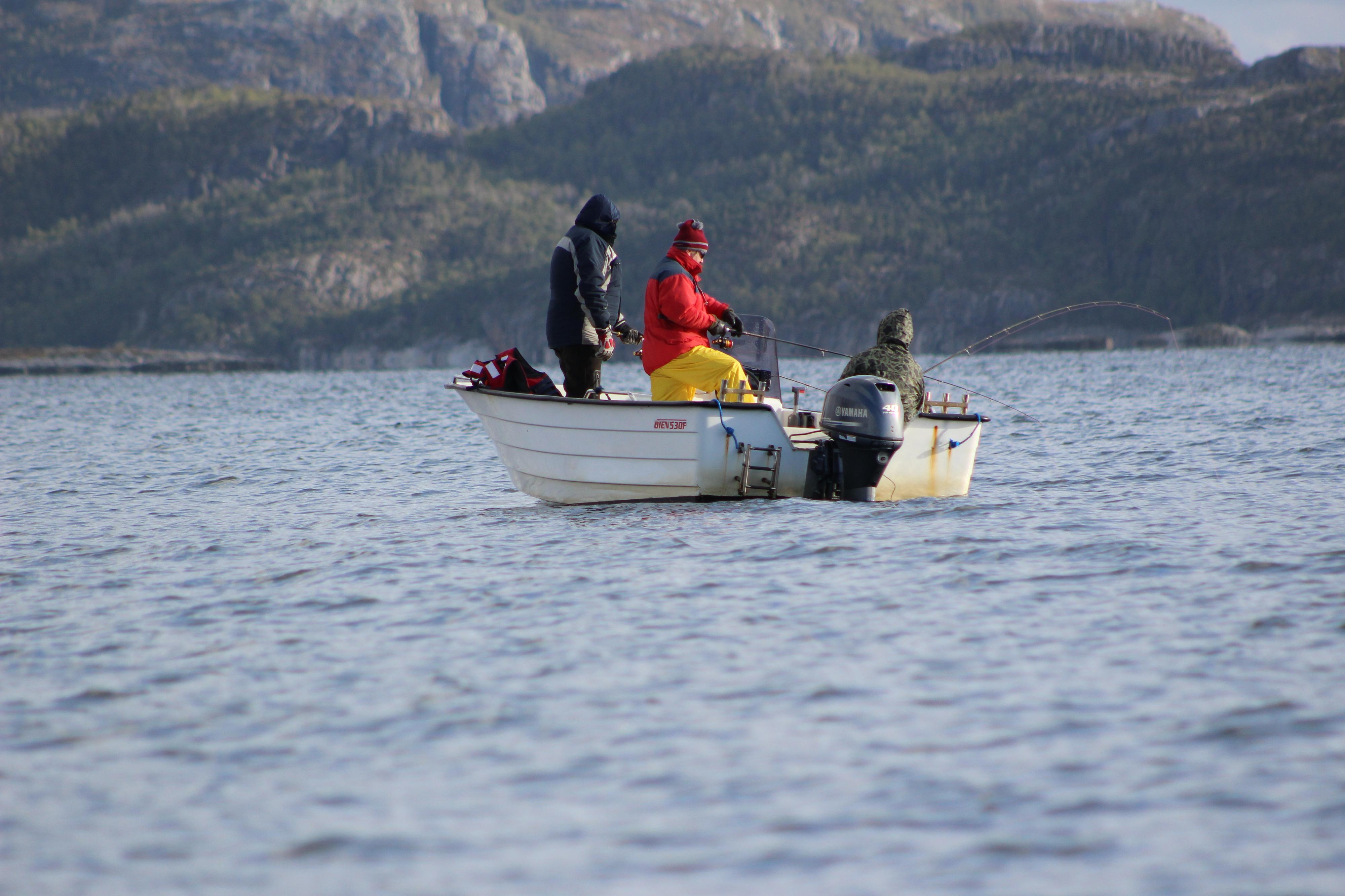 FLY TACKLE, s.r.o. foto 2