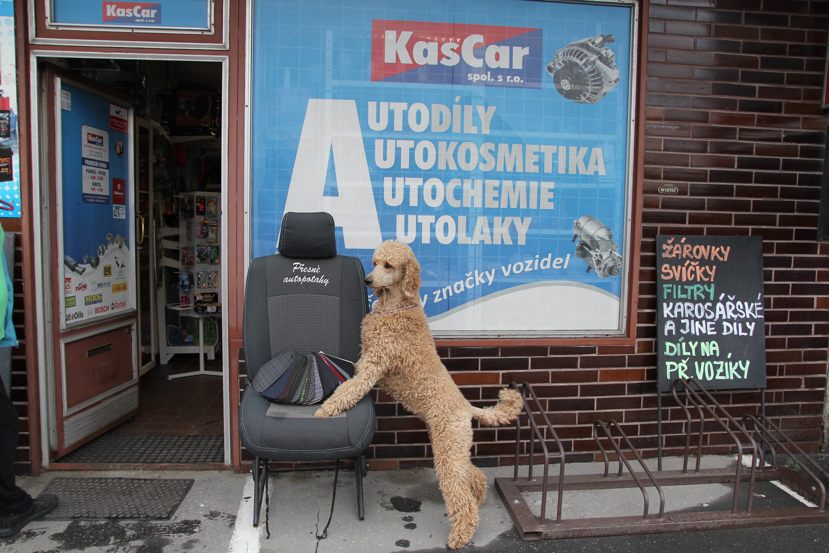 KASCAR M+P foto 3
