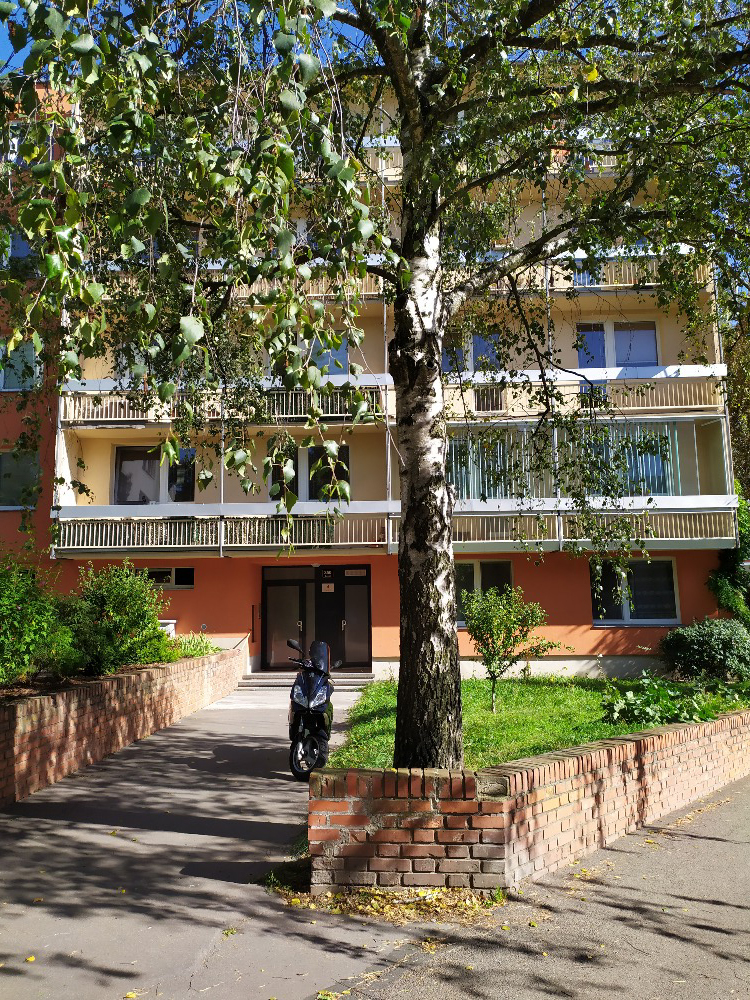 Terapie a masáže Michaela Todarellová foto 2