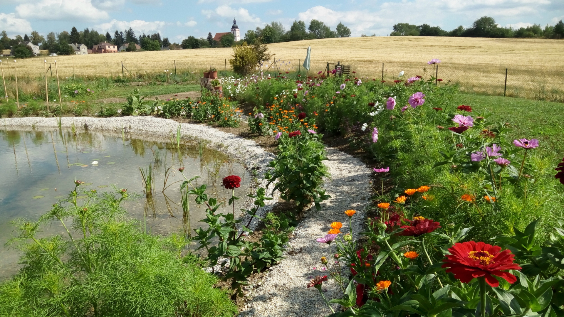 Naše zahrádka s Vílí stezkou foto 3