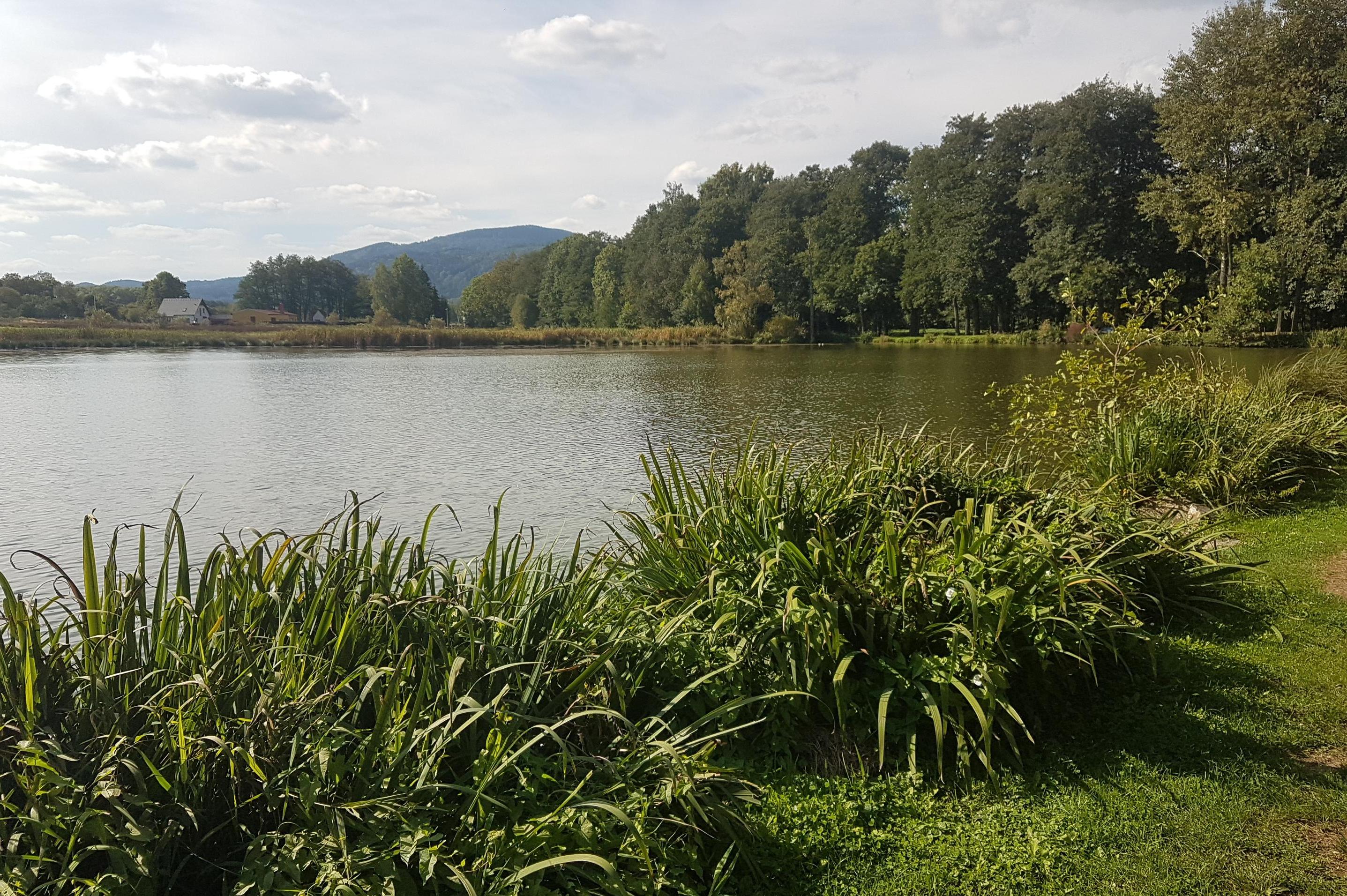 PIPEKO - Ing. Lumír Pála