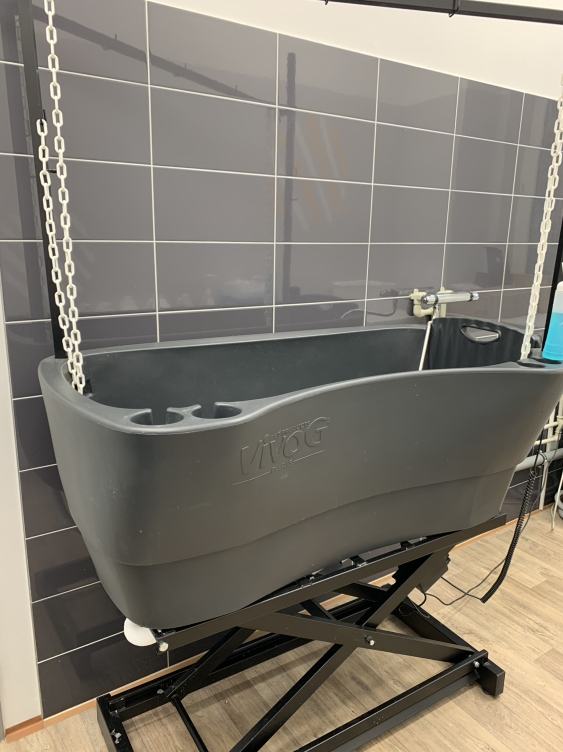 Módní Pes salon foto 2