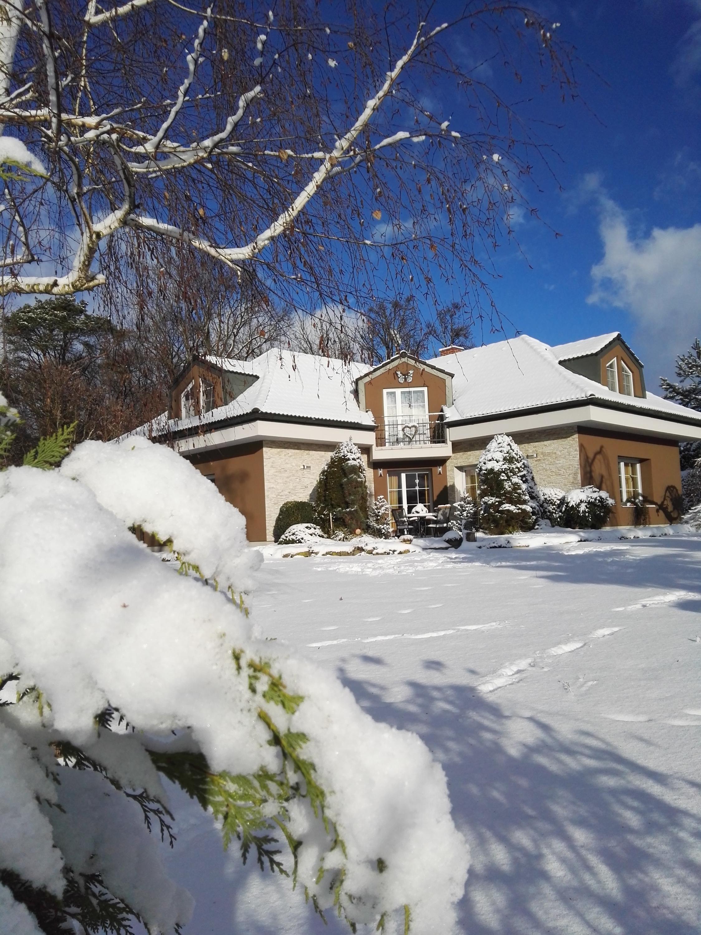 Jana Chlupáčová - květinový servis foto 5