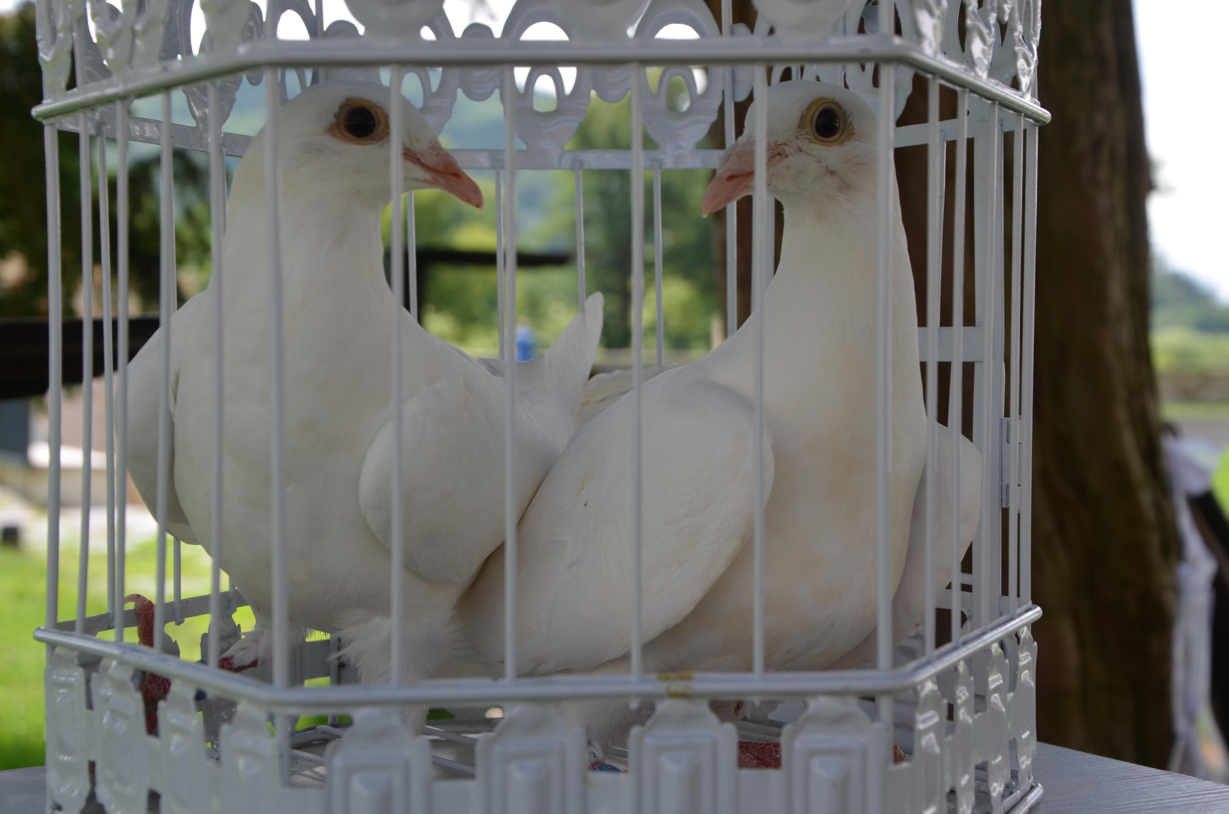 Catering Zapletal s.r.o. foto 4