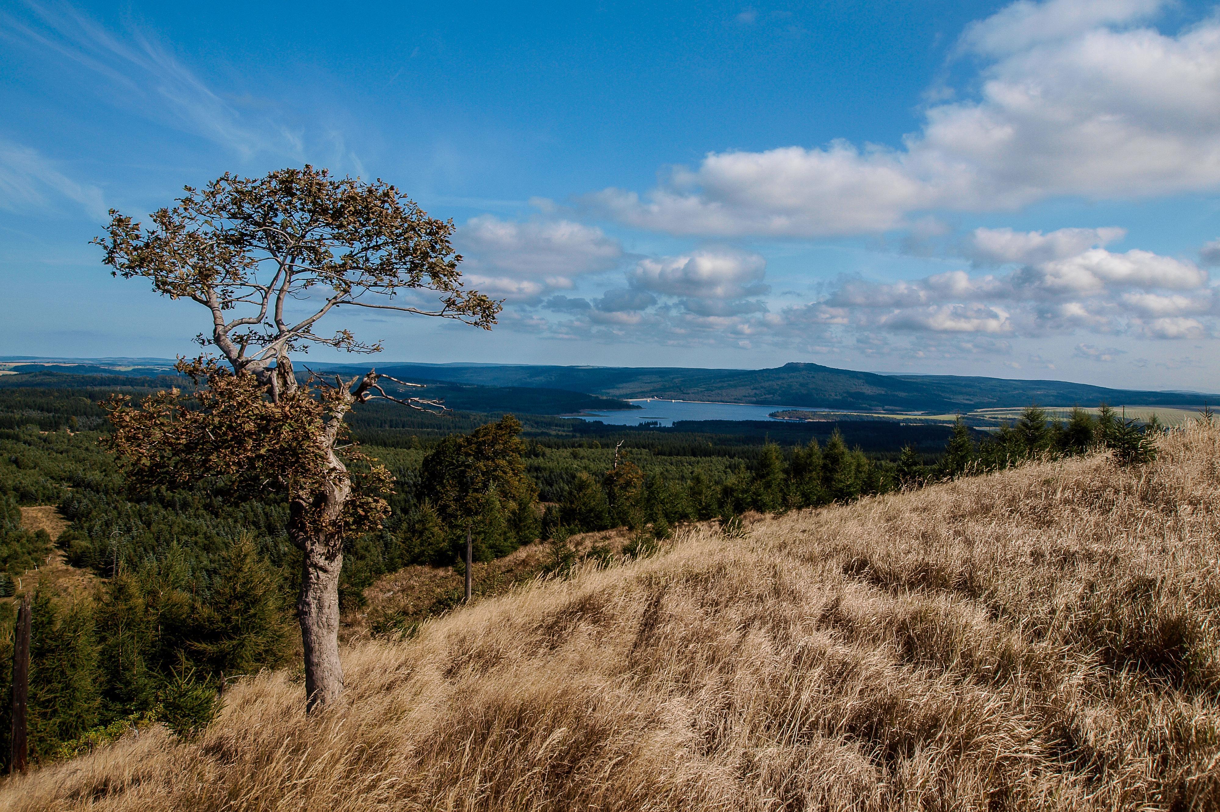 Destinační agentura Krušné hory, o.p.s.