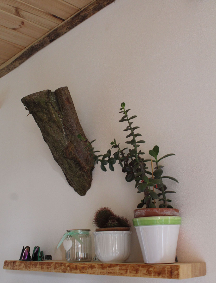 Truhlářství Dřevnost foto 3