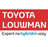 logo Louwman Motor Praha
