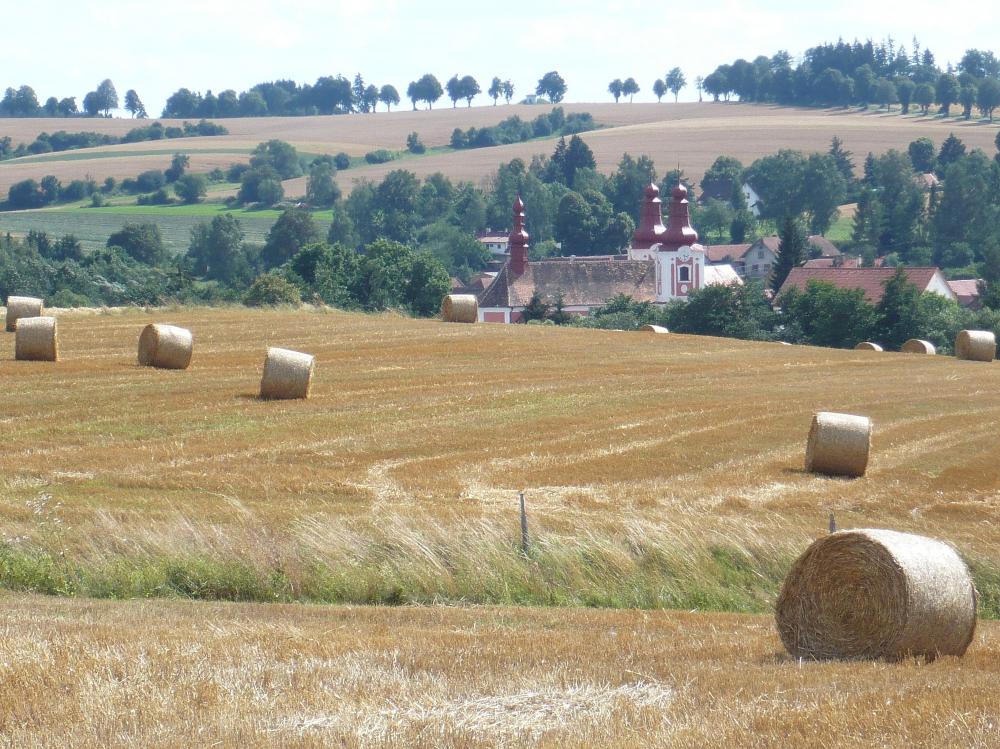 Juračka Dominik- Soukromý zemědělec foto 2