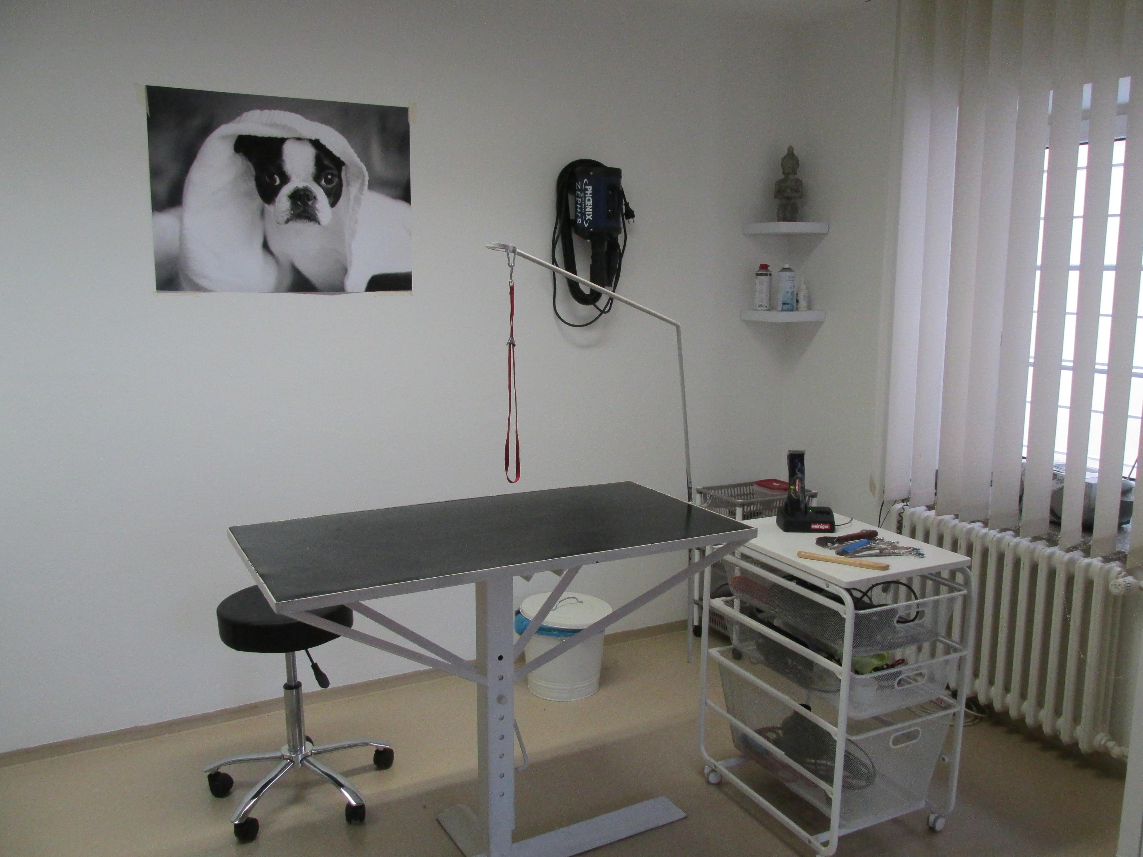FAJNý salon pro psy foto 6