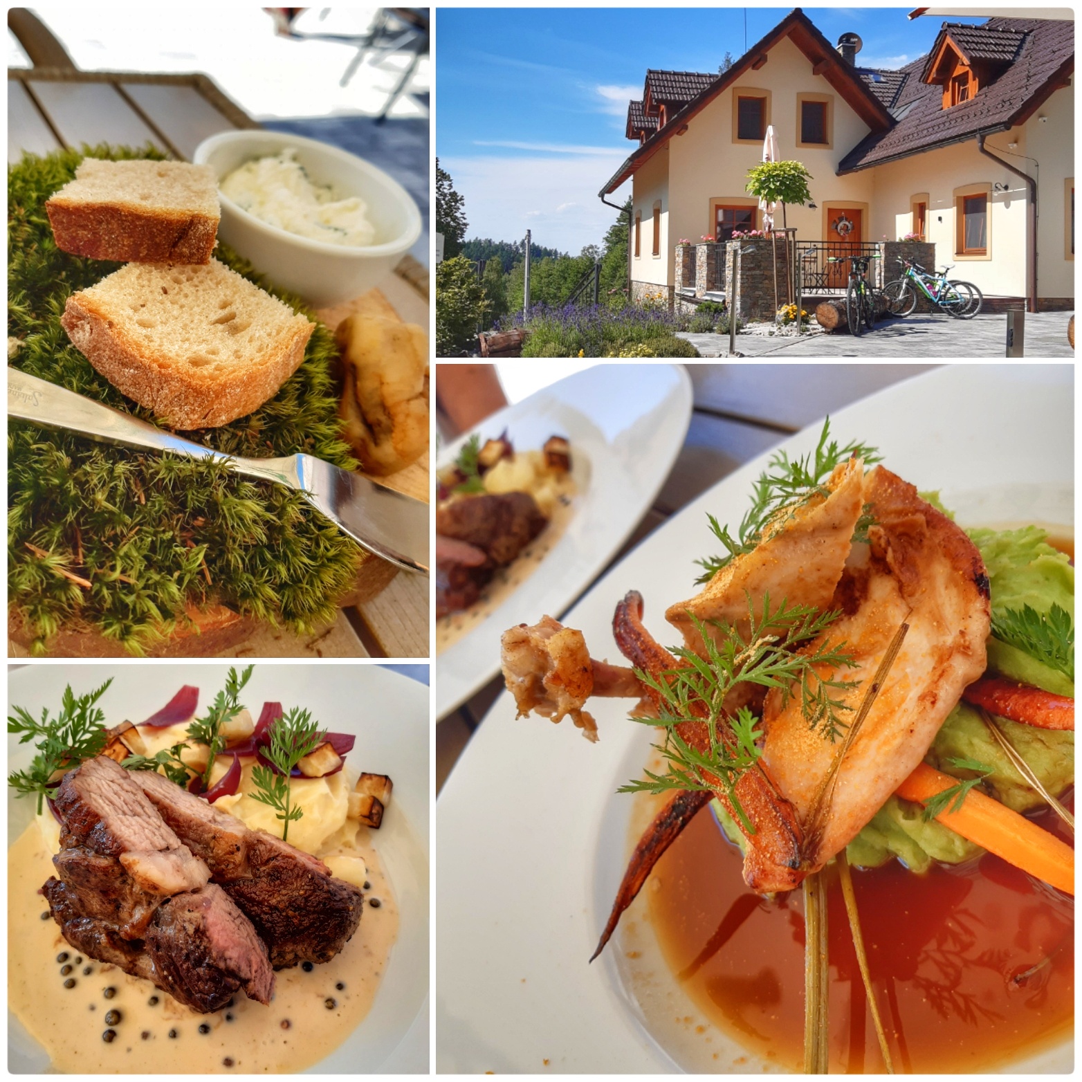 Restaurace Na kraji lesa foto 6