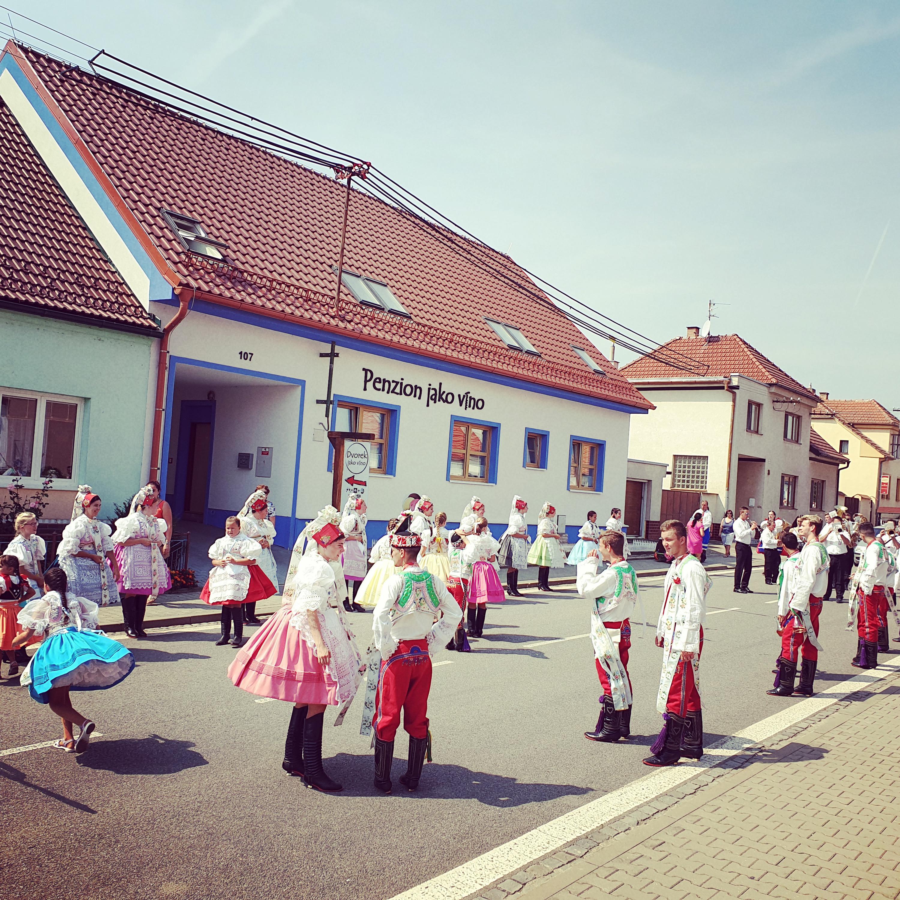 Penzion jako víno foto 2