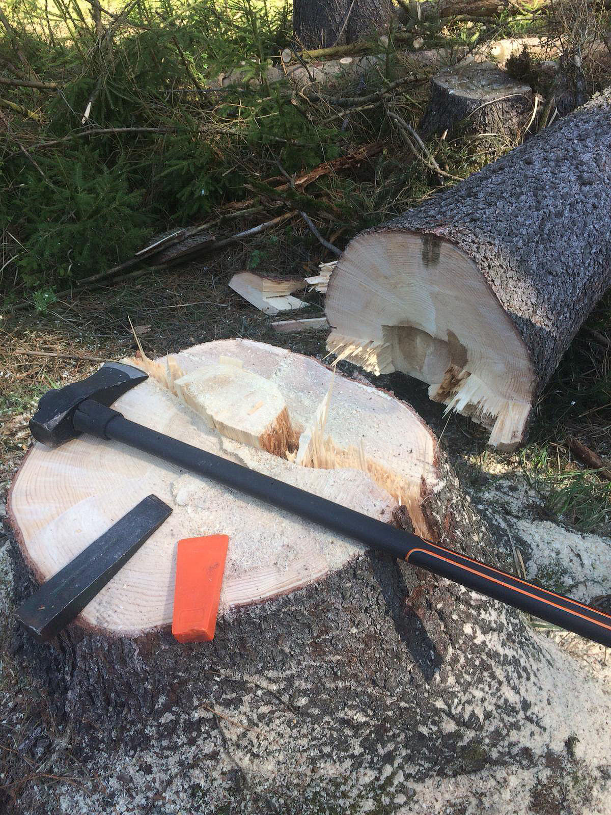 Petra Felgrová, kurzy-pily s.r.o. foto 2