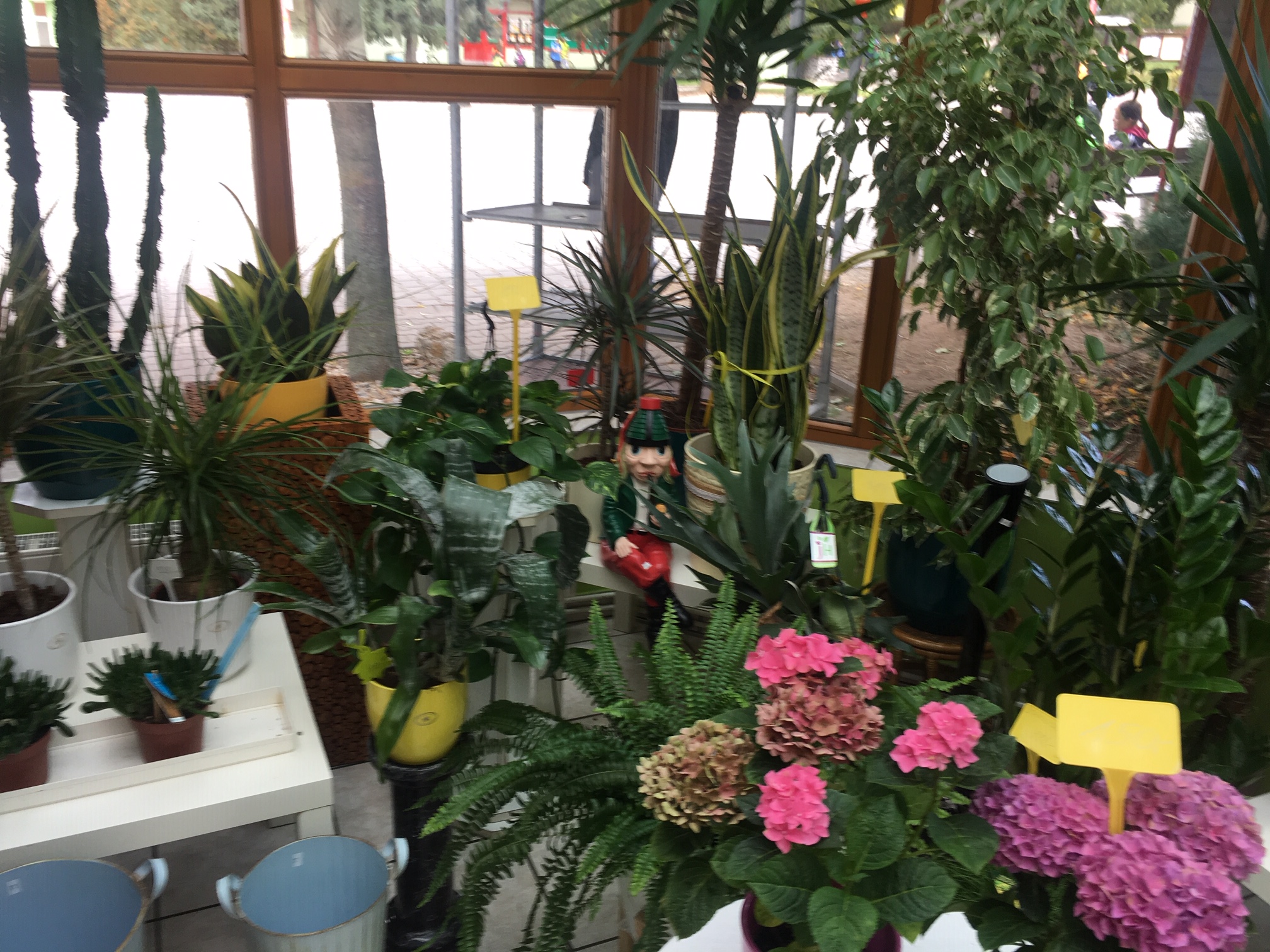 Květinářství Sedmikráska foto 4