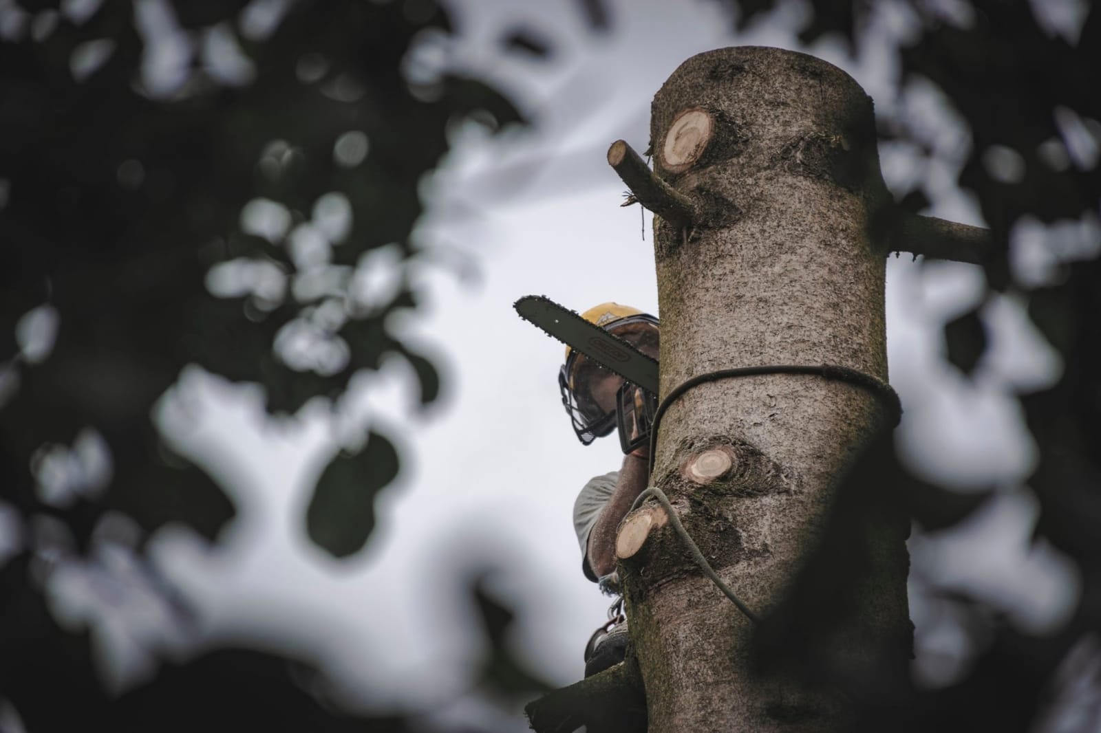 Timur Dyussengaliyev