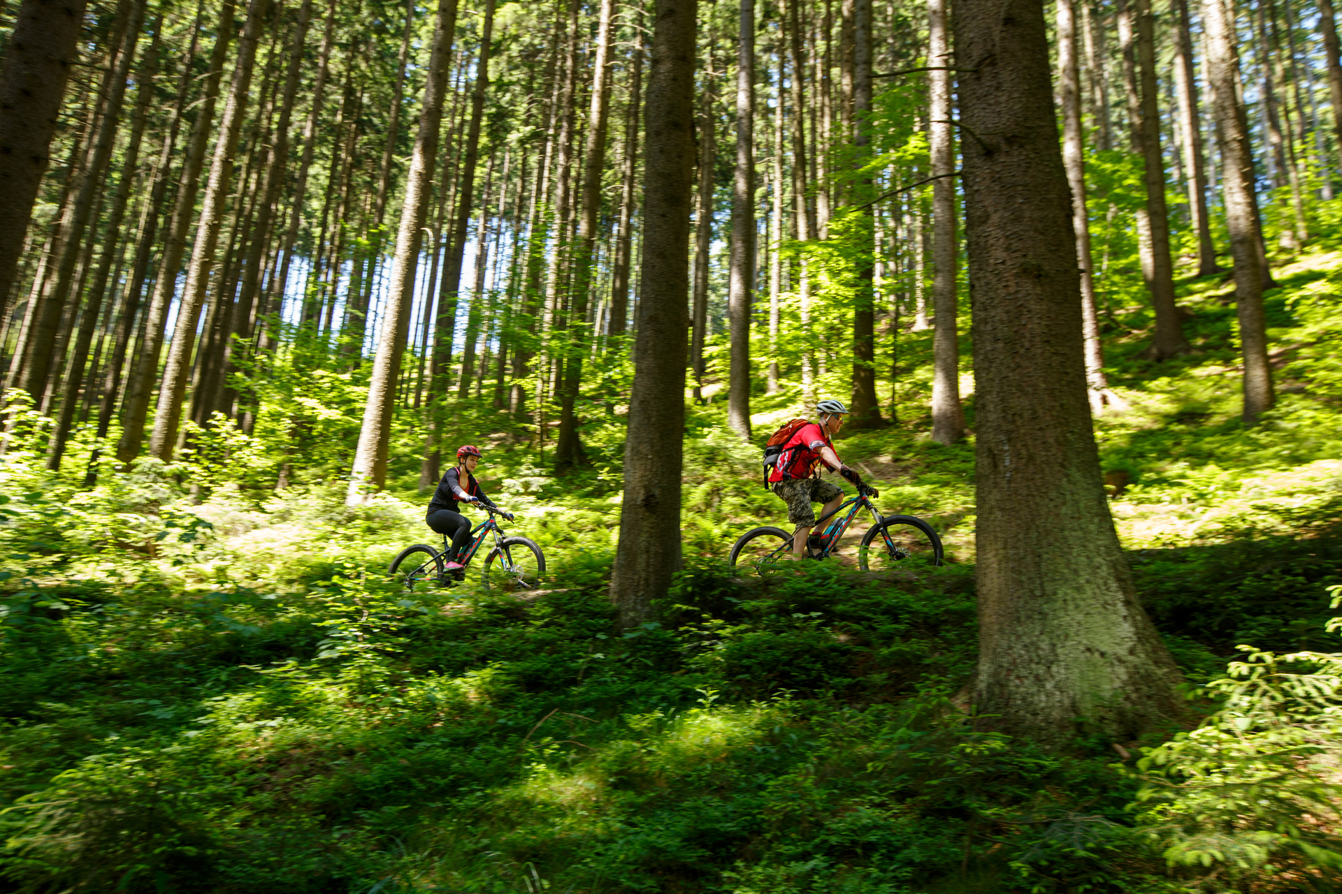 TestujBike.cz foto 5