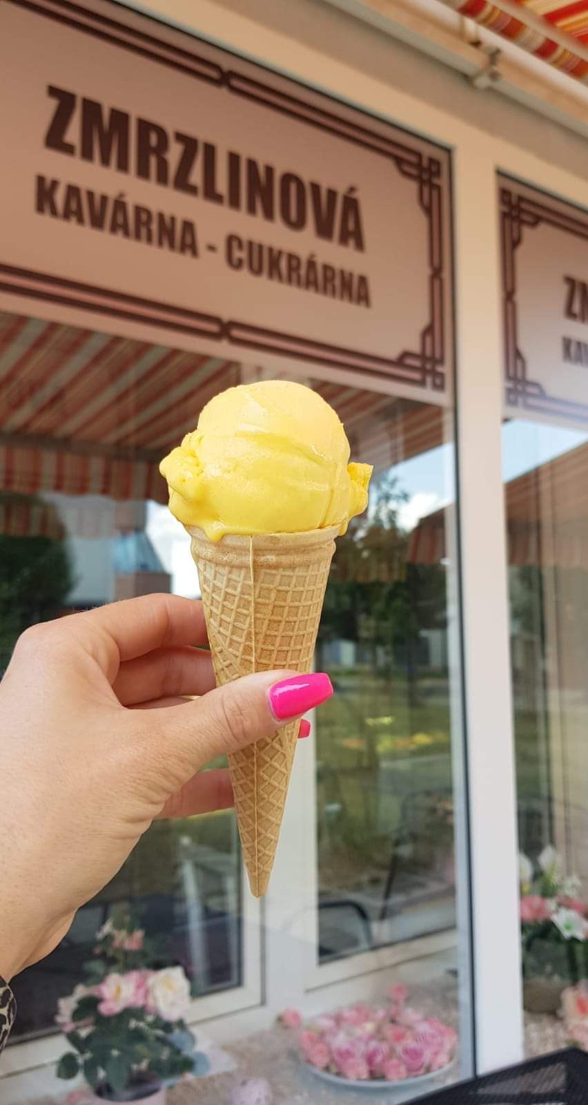 Zmrzlinová kavárna foto 3