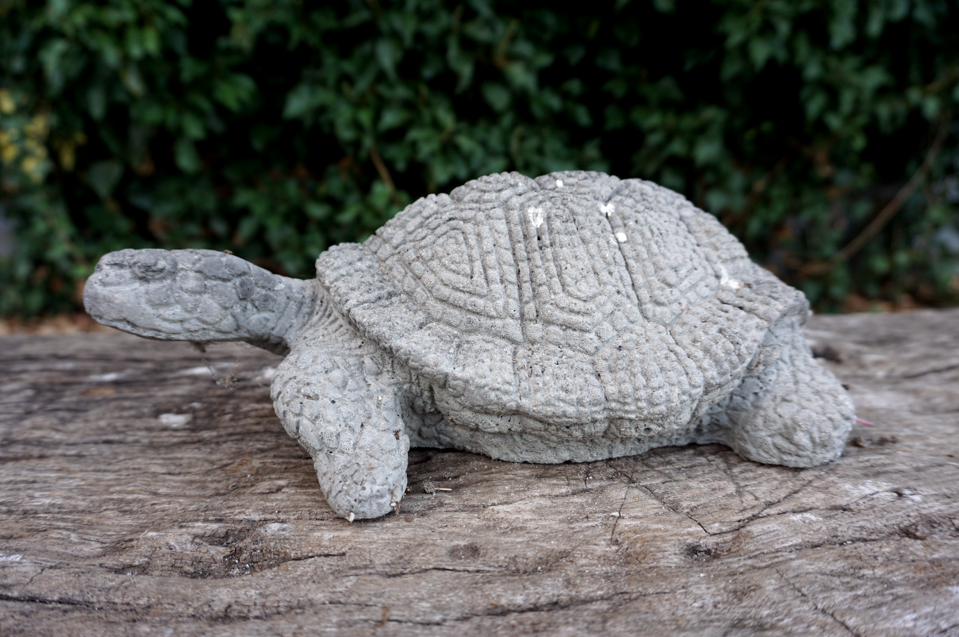 DUODEZ s.r.o. foto 4