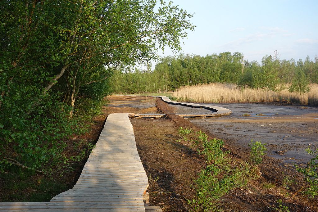 Národní přírodní rezervace Soos foto 4