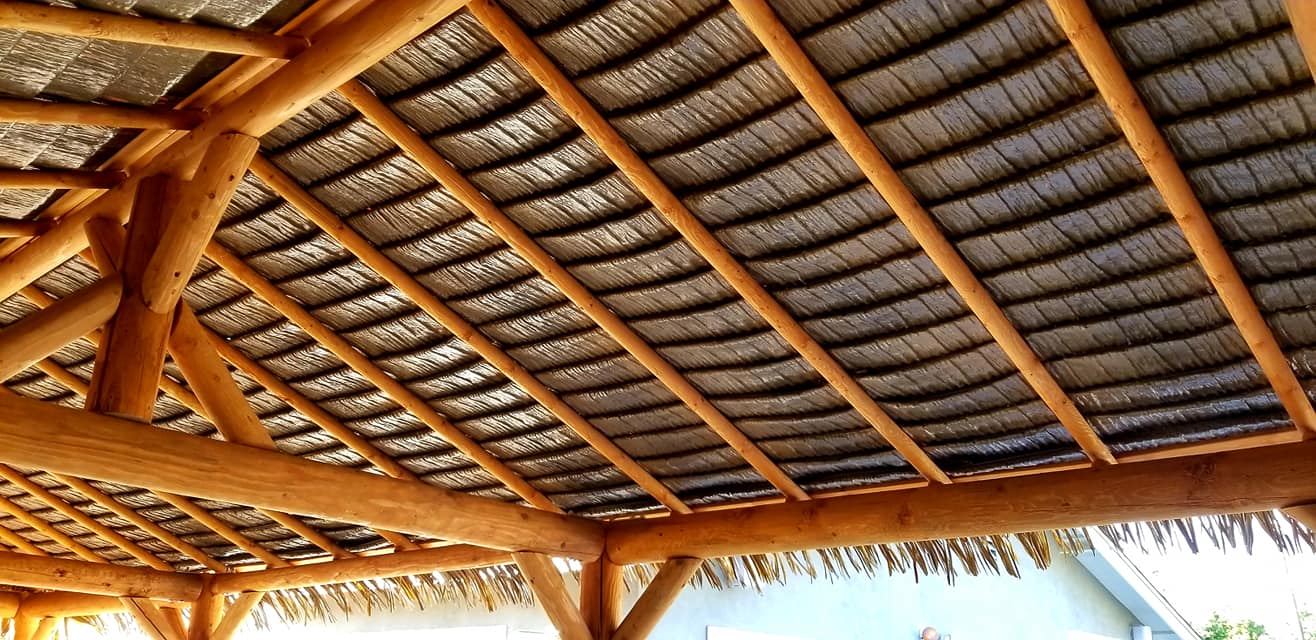 Palmex foto 4