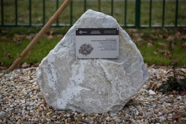 Základní škola PRIGO, s.r.o. foto 5