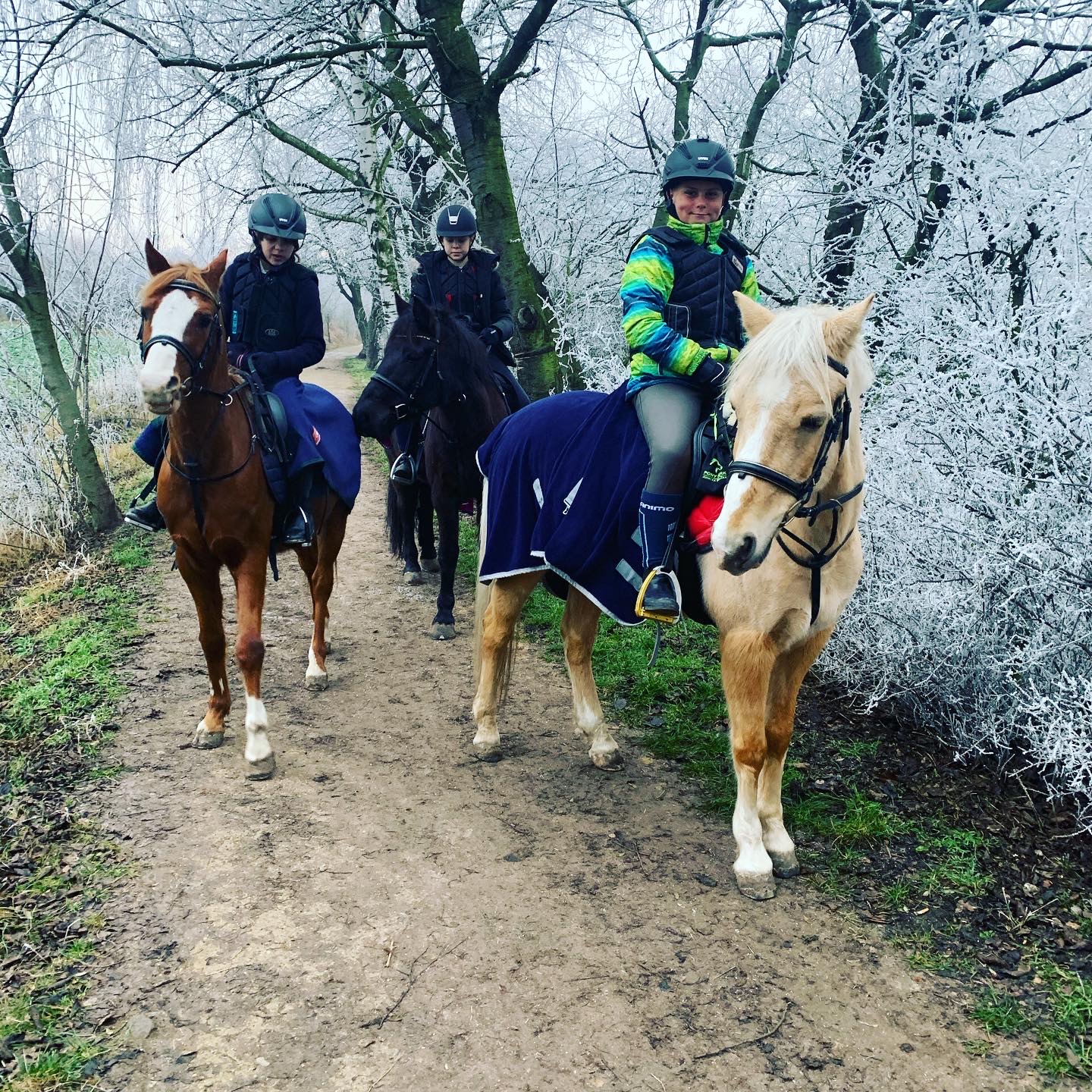 Pony Park jezdecká školička, akademie foto 1