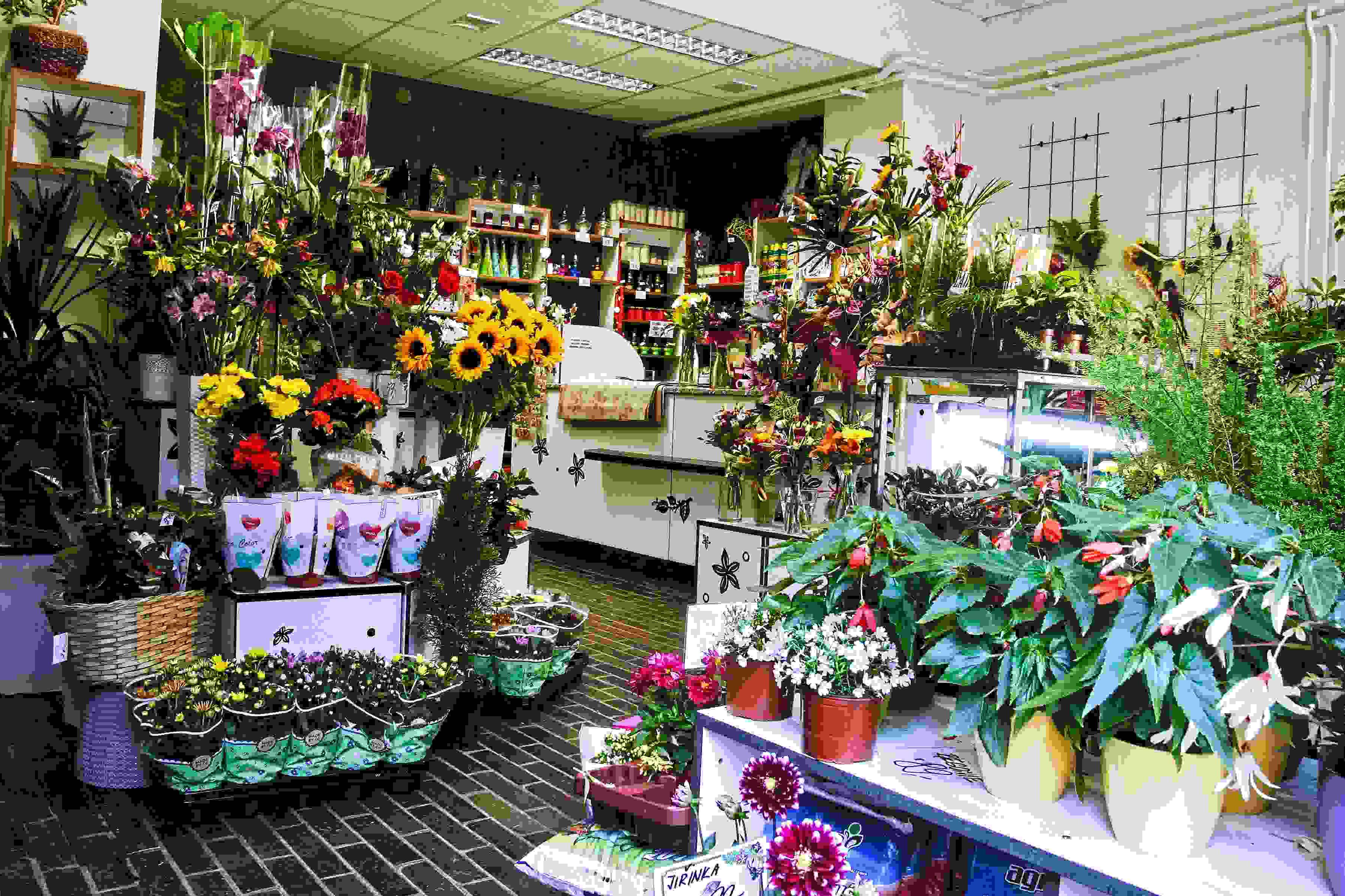 Květiny Sorela - Ing. Prášek