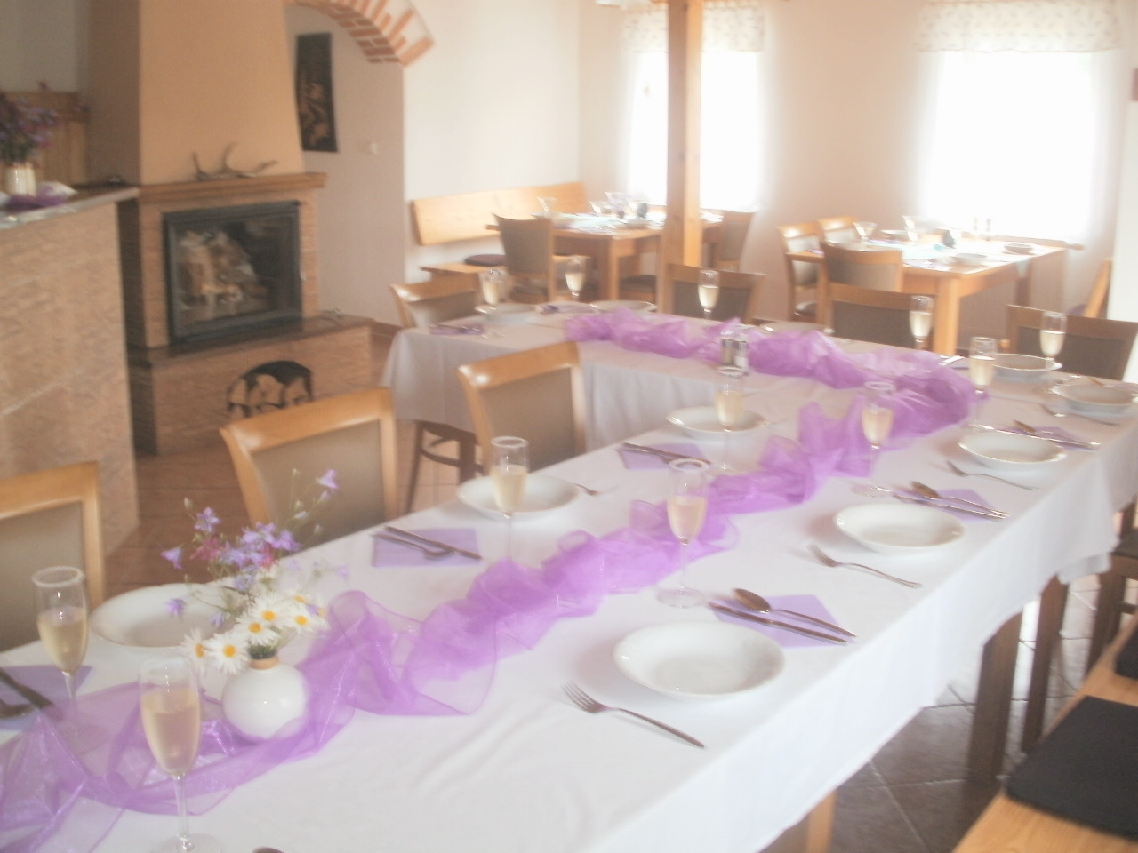 Restaurace Hořice u Blanska foto 6