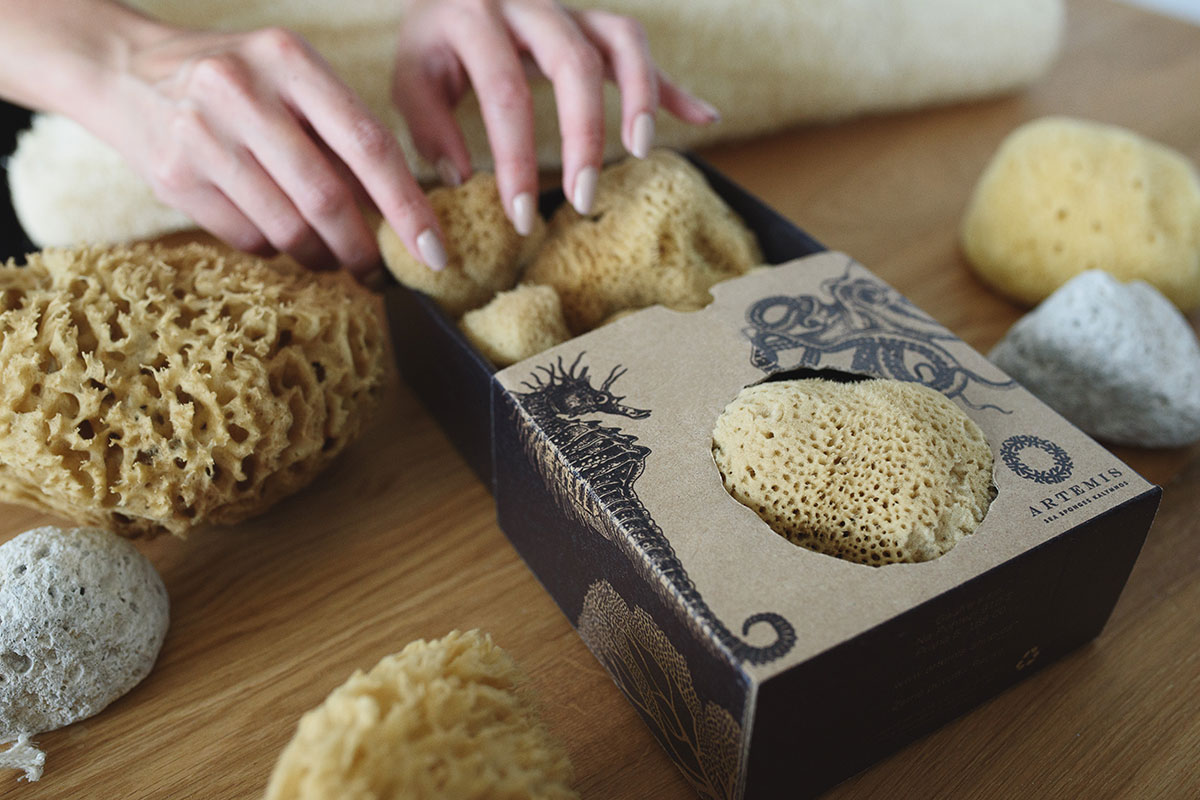 Artemis Sponges